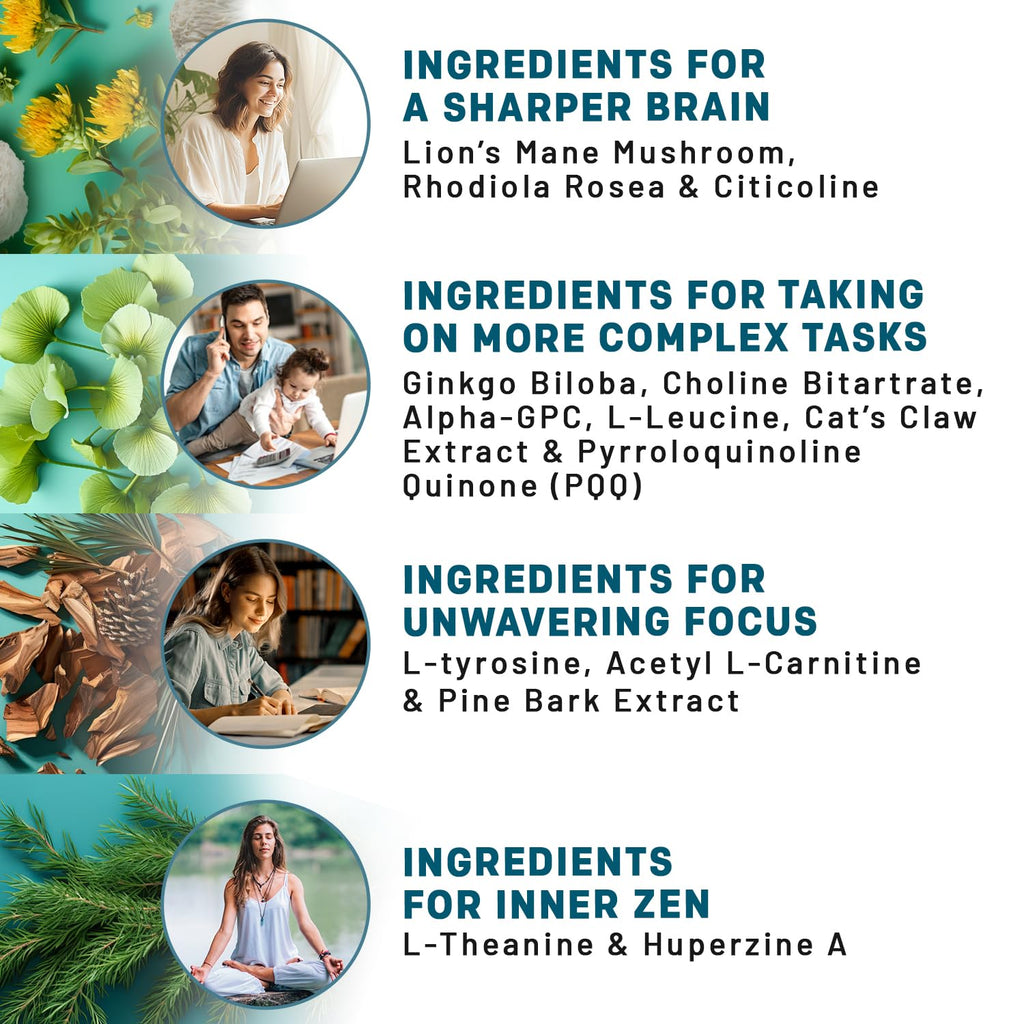 14-in-1 Lions Mane Supplement Capsules - Nootropic Brain Supplement with Ginkgo Biloba for Brain Support, Memory and Focus - Alpha GPC, L Theanine & Choline Supplements with 1300mg Per Serving (60 ct) PrimeMD Au supplements