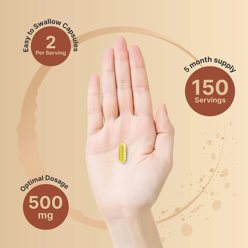 NatureBell Quercetin 500mg Per Serving | 300 Capsules, Ultra Strength Quercetin NatureBell Au supplements