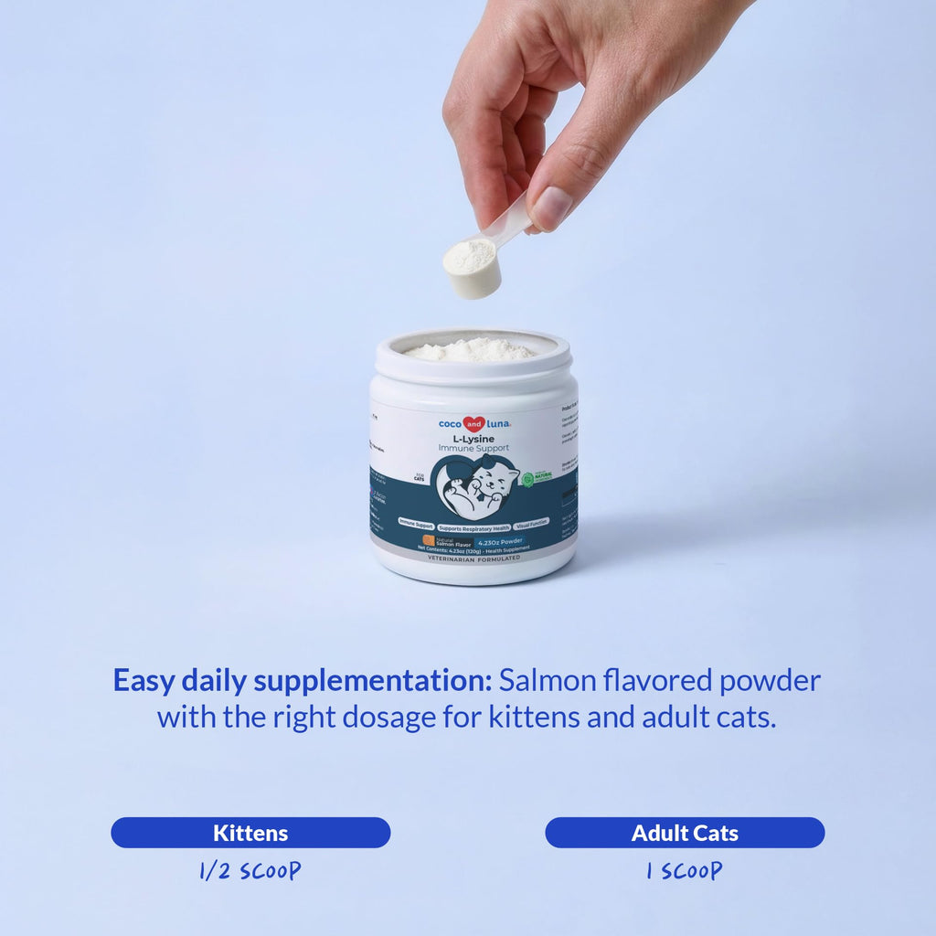 L-Lysine Supplement for Cats 900mg/scoop - Cat Supplement for Sneezing and Runny Nose, Cold, Immune Support, Eye Function