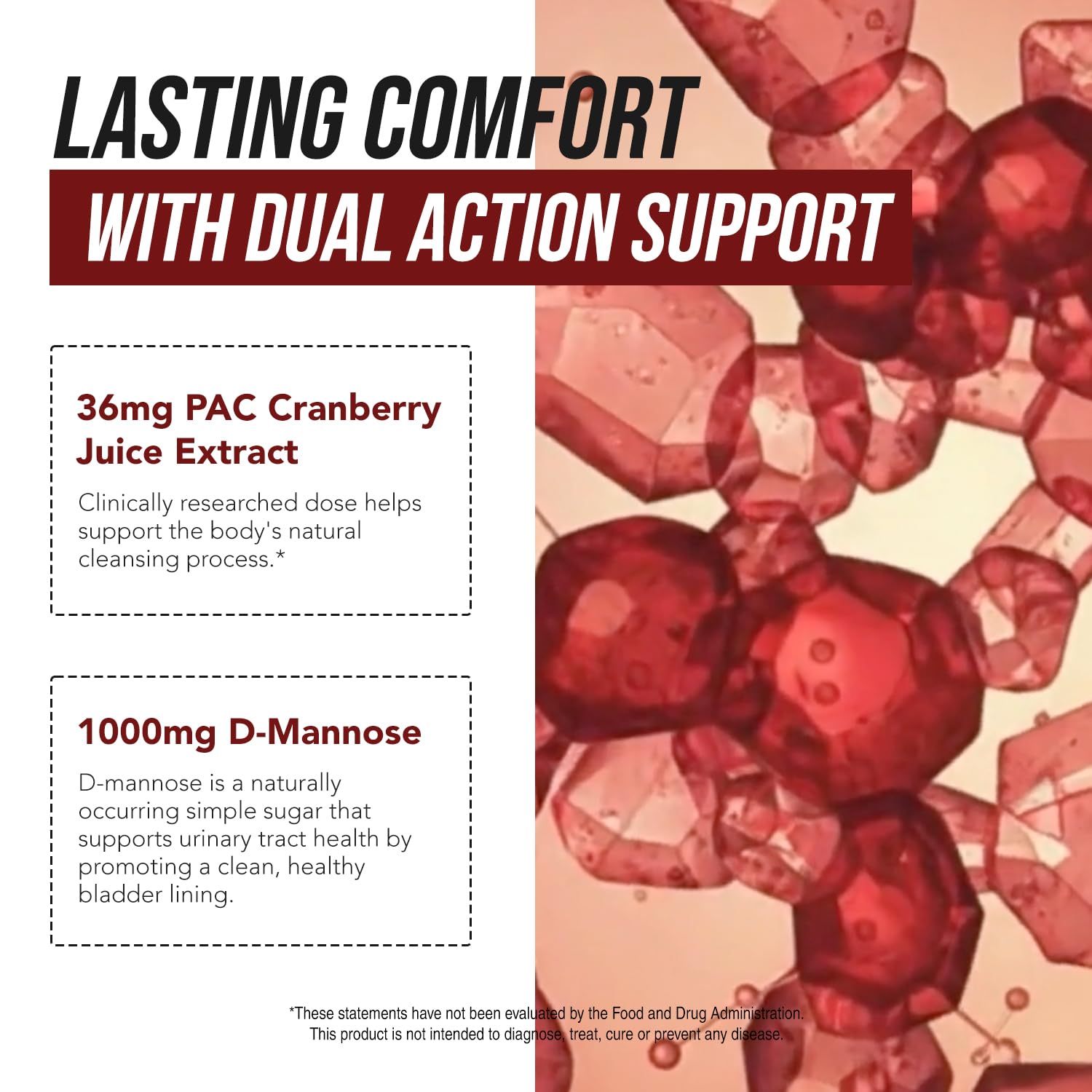 CranEaze®: Cranberry Juice Extract Plus D-Mannose – 36 mg PAC, 100% Soluble PAC - Supports Urinary Tract Health – Most Effective Cranberry Pills for Women,