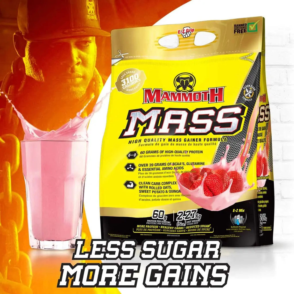 Inter-Active Nutrition Mammoth Mass Supplement, 2.27kg Strawberry Mammoth Au supplements
