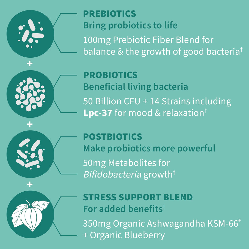 Garden of Life Dr. Formulated Pre, Post & Probiotics Calm 50 Billion CFU Daily 3-in-1 Complete Supplement with Ashwagandha – Mood Support, Digestive & Immune Support, 30 Vegetarian Capsules Garden of Life Au supplements