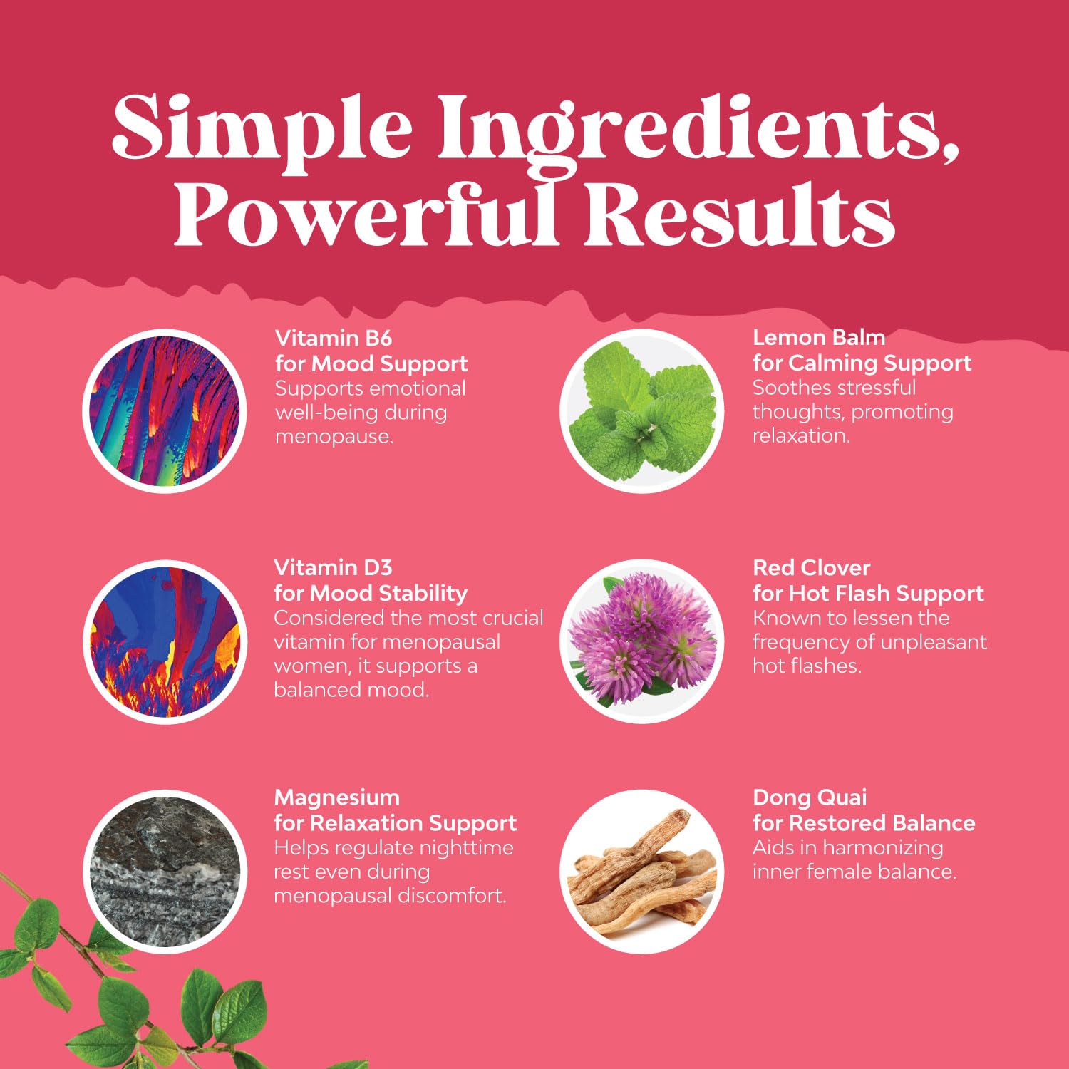 Complete Herbal Menopause Supplement for Women - Female Hormone Balance Capsules for Night Sweats Hot Flashes & Mood Swings with Dong Quai, Chaste Berry & Black Cohosh Root - 120 Count Pack Natures Craft Au supplements