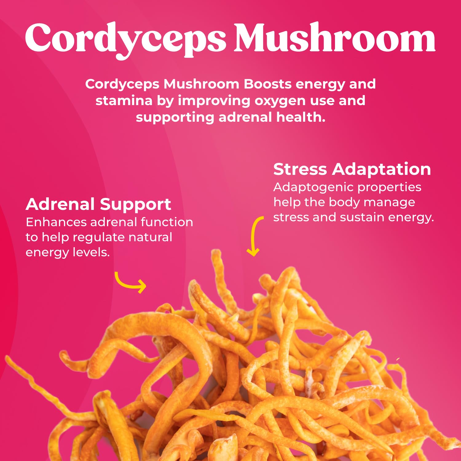 Fungiments Super Bouncy Mushroom Supplement – Cordyceps Focus Capsules for Adults – Natural Brain Boost, Green Tea Energy Vitamins Without jitters, Stamina for Women, Fatigue Support – 60 Count Fungiments Au supplements