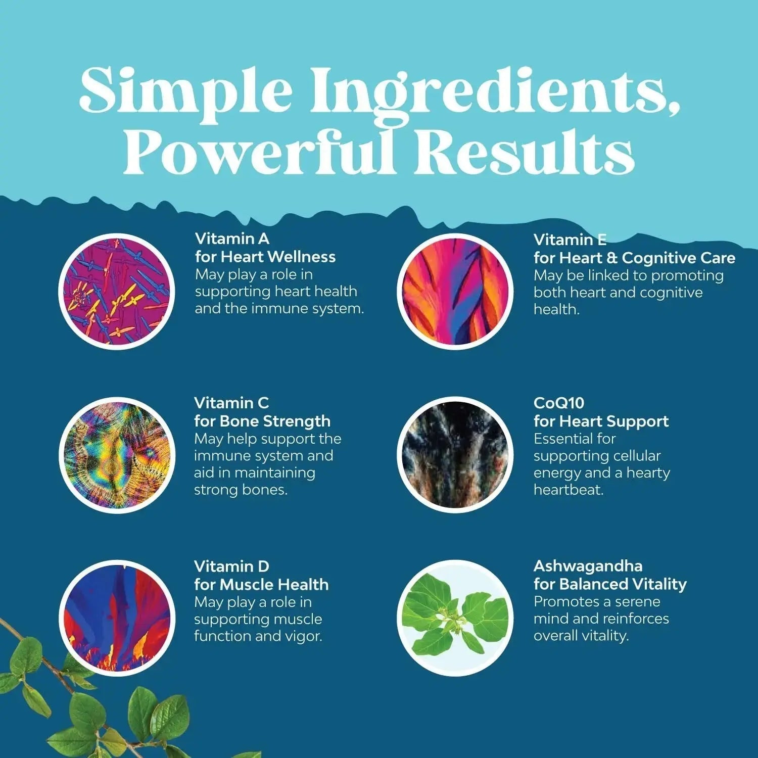Natures Craft Men's Multivitamin Gummies with Superfood Complex - Daily Multivitamin for Men Gummies with CoQ10 and Ashwagandha Natures Craft Au supplements
