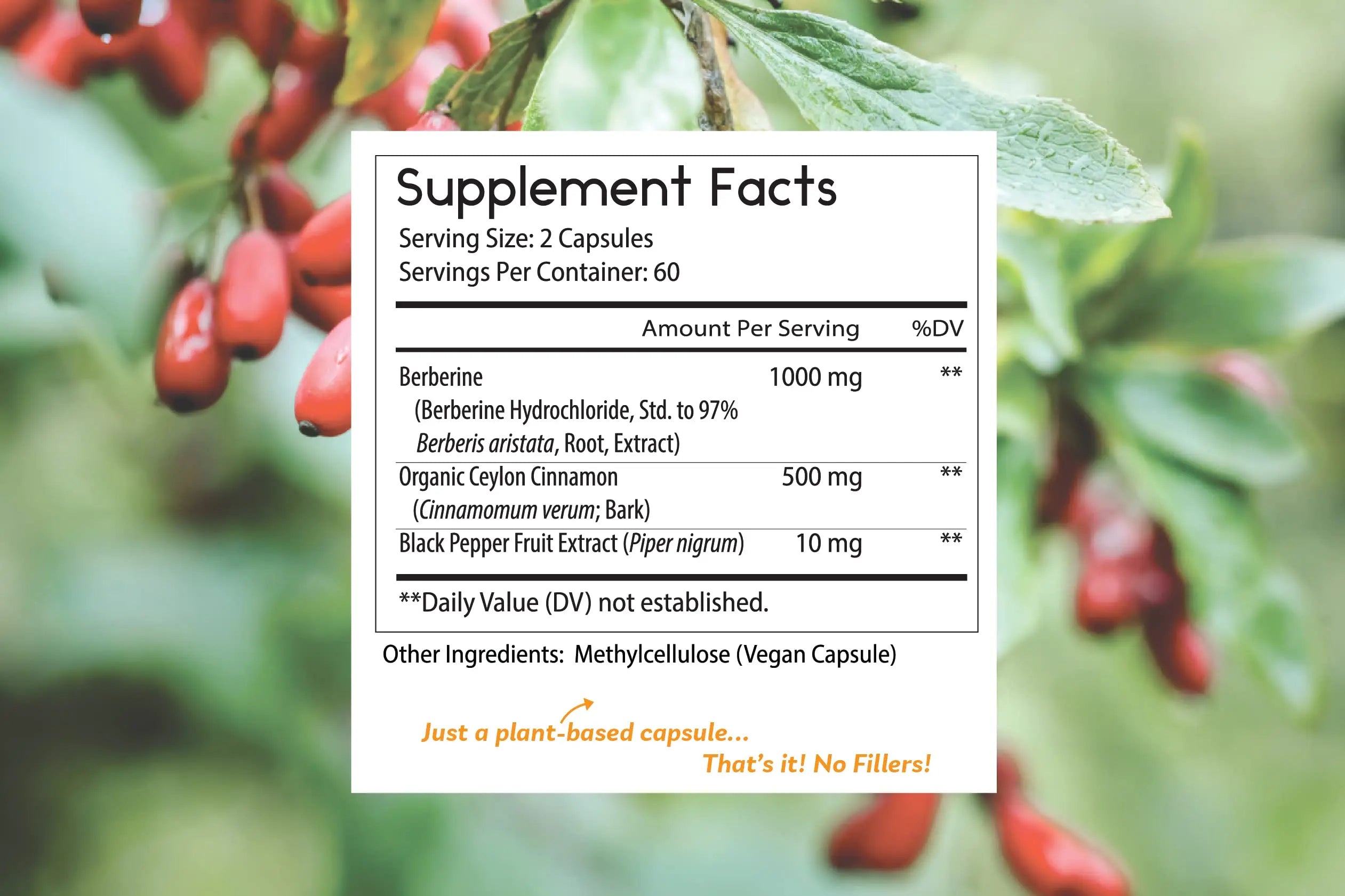 Thomas' all-natural Remedies Berberine 500mg (1000mg Per Serving)- 120 Vegan Capsules Thomas' all-natural Remedies Au supplements