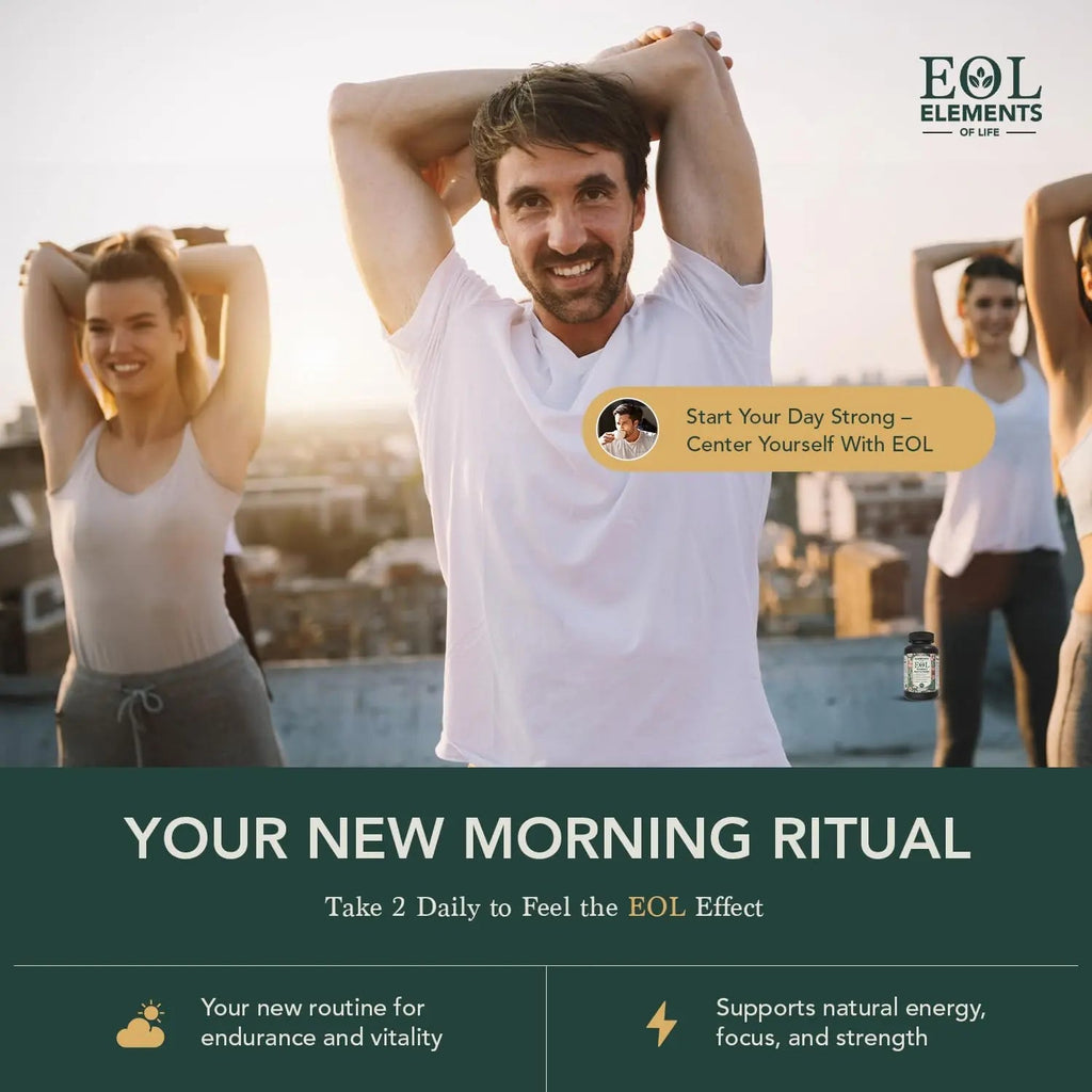 Multivitamin for Men with Vitamin D, K2, Zinc, Vitamin B12, A, E, B6, Calcium – Immune Health & Energy Support Daily Mens Multivitamins Elements of LIfe Au supplements