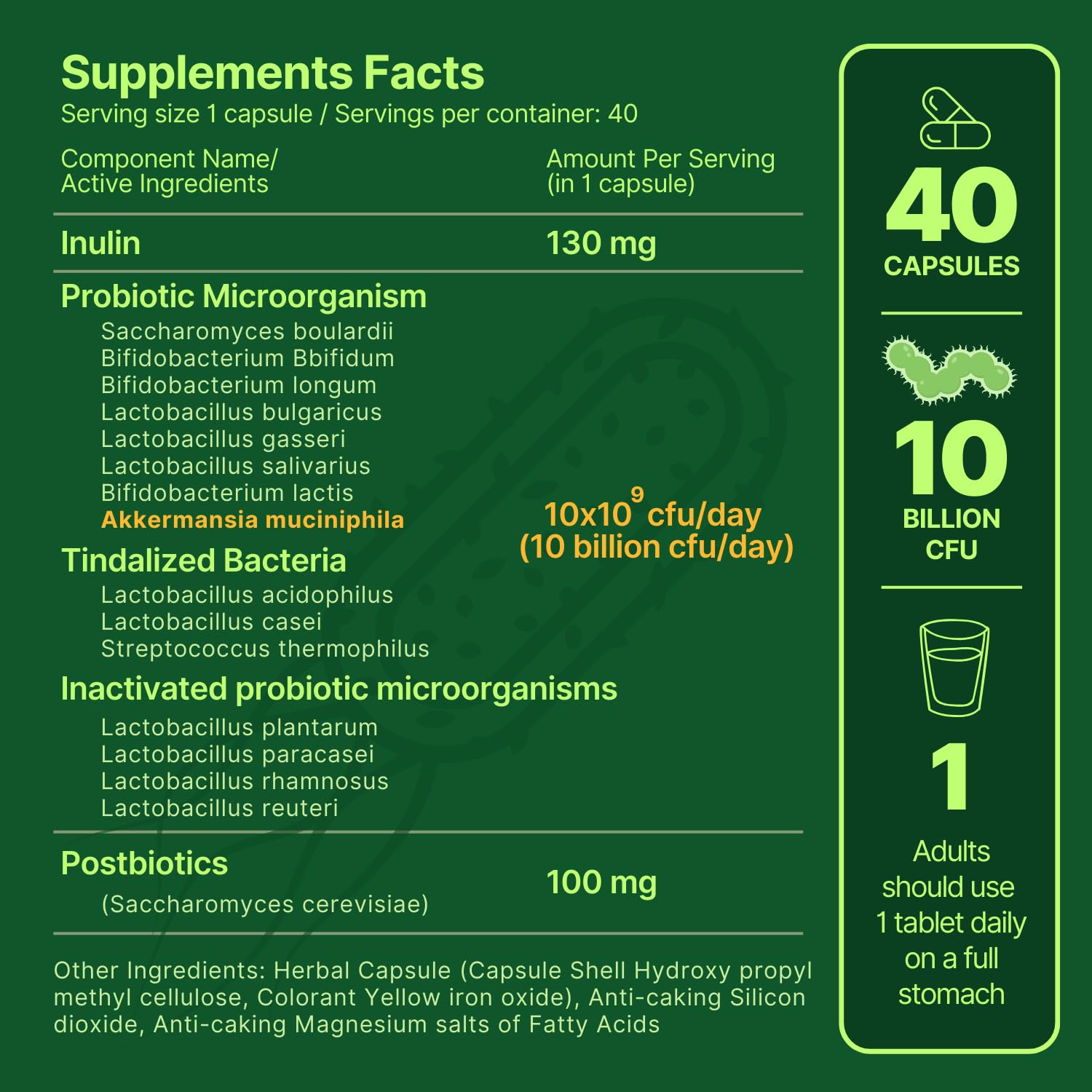 anocin Akkermansia Muciniphila + Probiotic, Postbiotic & Inulin - Gut Health Supplement for Digestion, Immune Support - 10 Billion CFU, Vegan & Gluten-Free anocin Au supplements