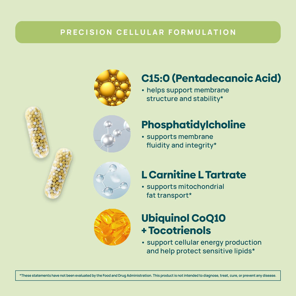 C15:0 Pentadecanoic Acid Supplement | Longevity, Cellular & Membrane Support, Micro-Granule Enhanced Absorption, Phosphatidylcholine, L-Carnitine,