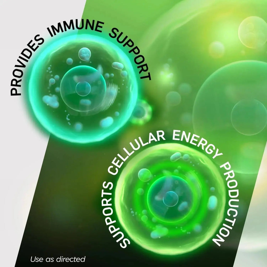Shot B Multivitamin Complex, B-Energy, Vitamin B Complex with Antioxidant Support, B Complex Vitamins with A, C, D, E & Folic Acid Shot B Au supplements