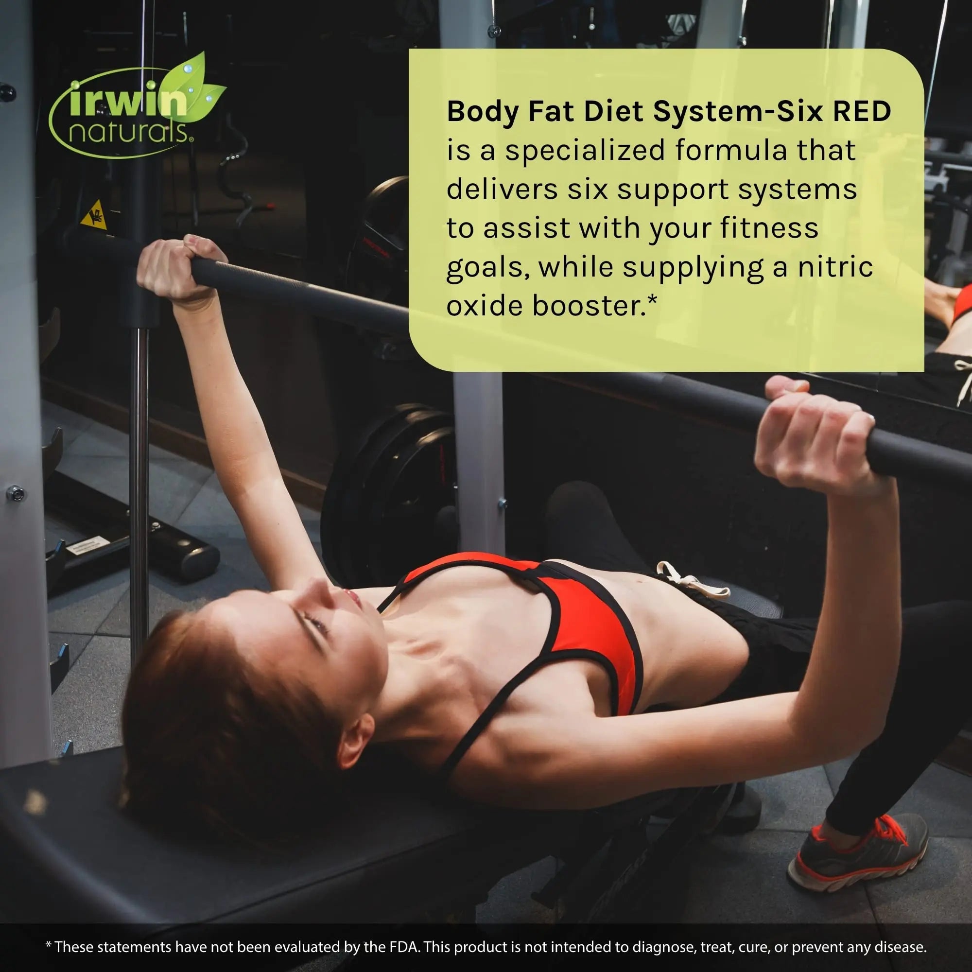 Irwin Naturals Body Fat Diet System-Six RED - 72 Liquid Soft-Gels, Pack of 2 - 6-in-1 Formula Irwin Naturals Au supplements