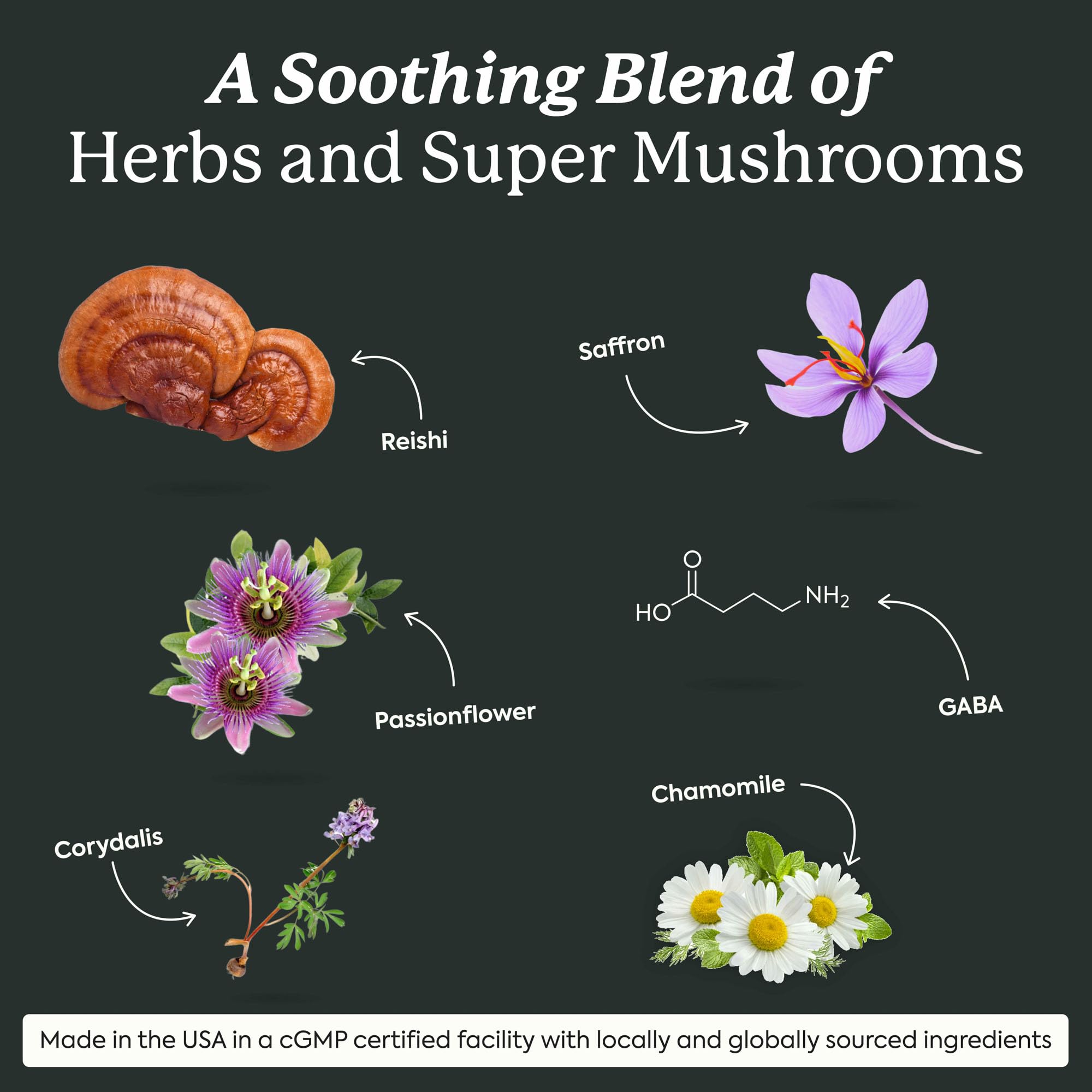 Plant People WonderSleep Mushroom Gummies Supplement for Sleep, No Melatonin with Reishi Super Mushrooms, Wild Elderberry Flavor, Sugar-Free (60 Count)