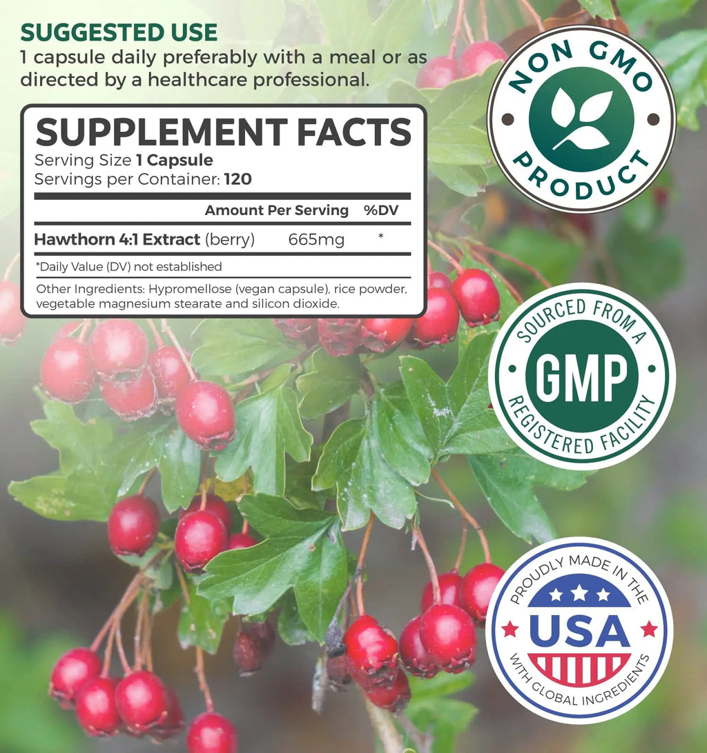 Hawthorn Berry Capsules - 4 Month Supply Digestion & Heart Health Supplement Healths Harmony Au supplements