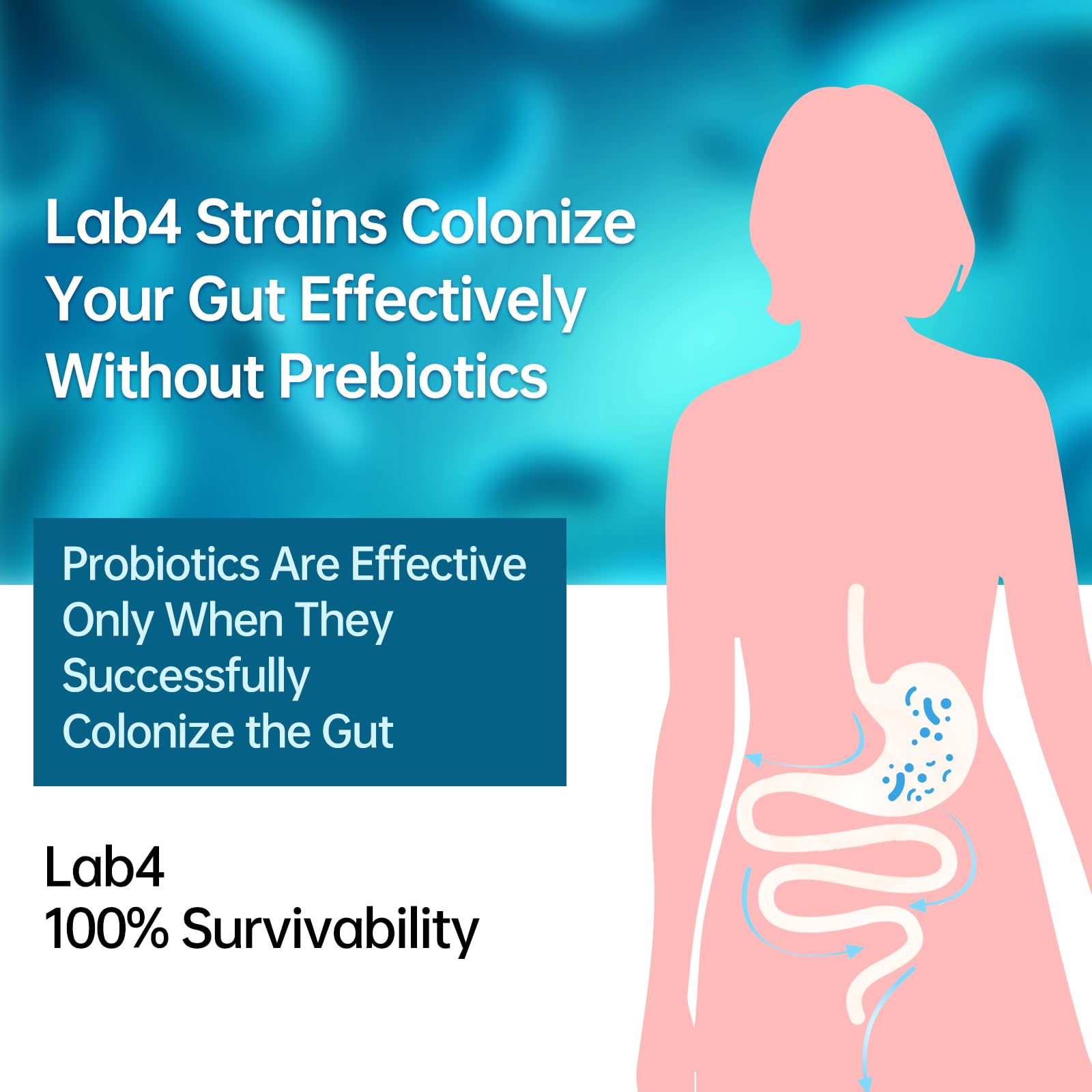 purmeo Probiotics for IBS Anti Diarrhea, Gas, Bloating - Support Immune, Digestive & Gut Health - Clinical Proven Lab4 Strains IBS-D Supplement 20 Billion CFU,
