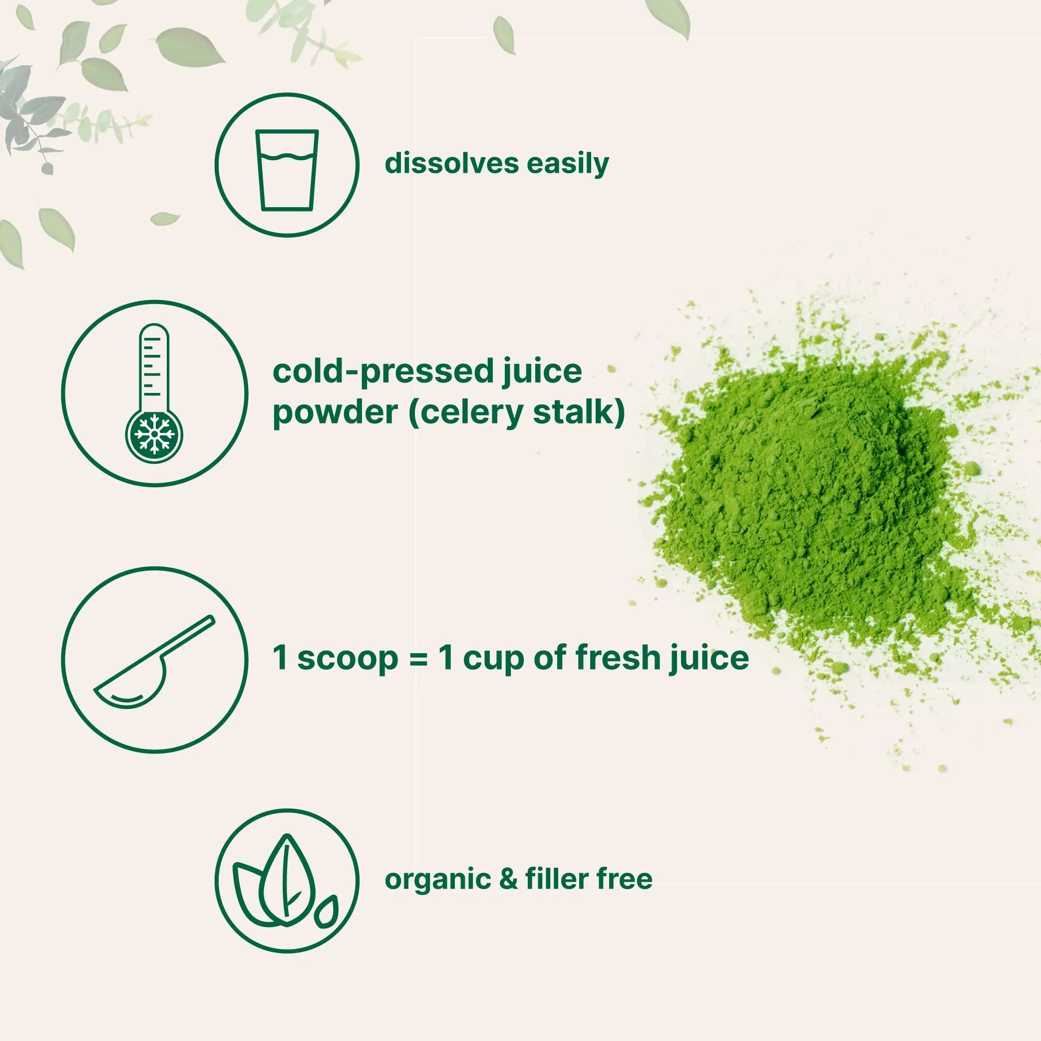 Organic Celery Juice Powder, 20 Ounce (1.25 Pound), 71 Serving, Celery Detox and Cold Micro Ingredients Au supplements