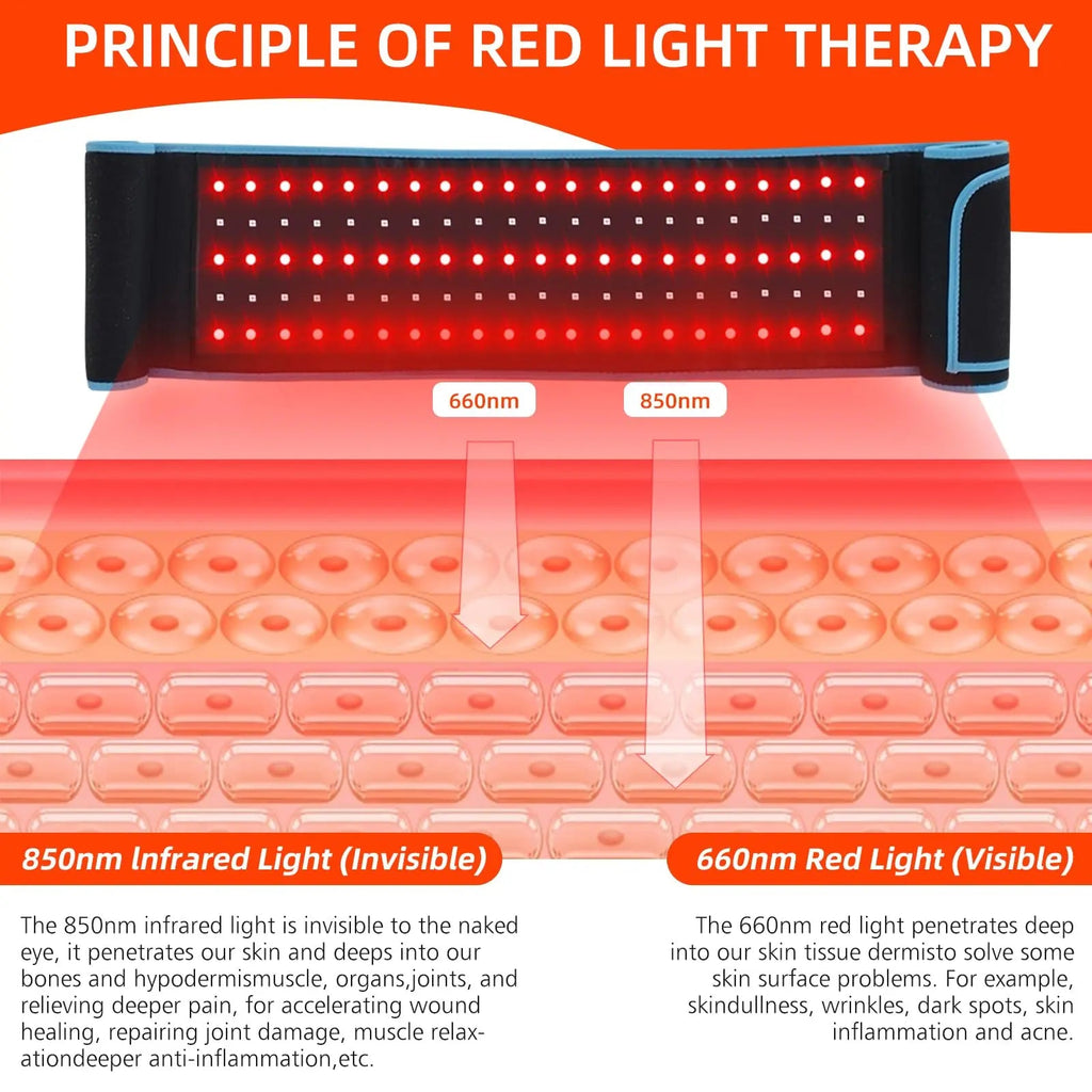Red Light Therapy Belt, 660&850nm 3 -in-1 Big Chips Near Infrared Therapy Wrap for Body HEDYNSHINE Au supplements