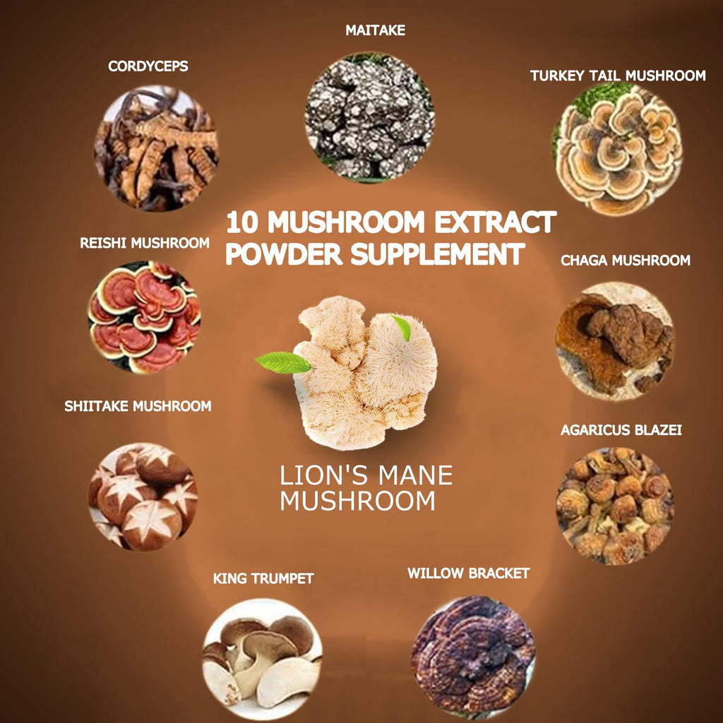 Suiyilary Mushroom Coffee, 10 Mushroom Extract Powder Blend Lion's Mane, Reishi, Chaga