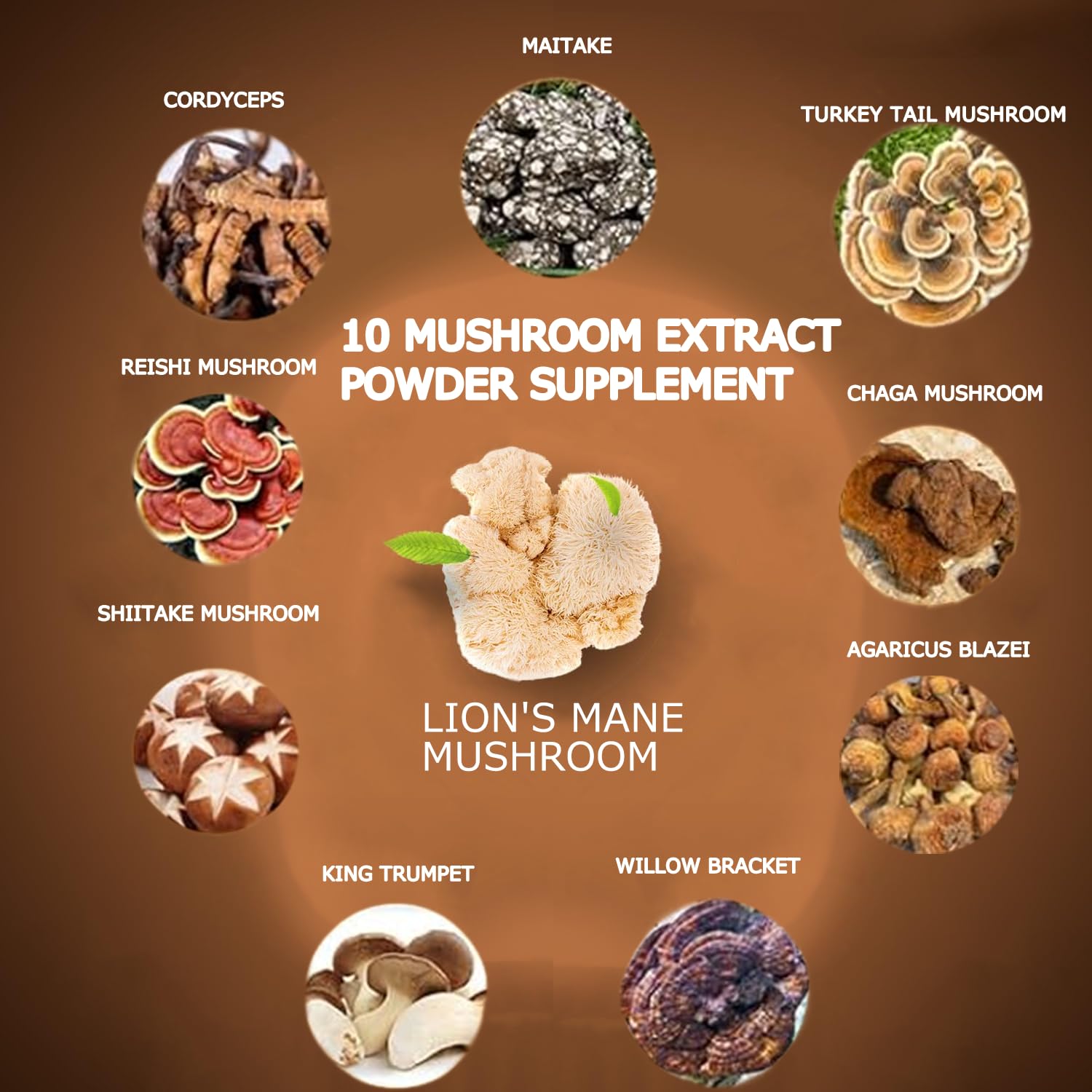 Suiyilary Mushroom Coffee, 10 Mushroom Extract Powder Blend Lion's Mane, Reishi, Chaga