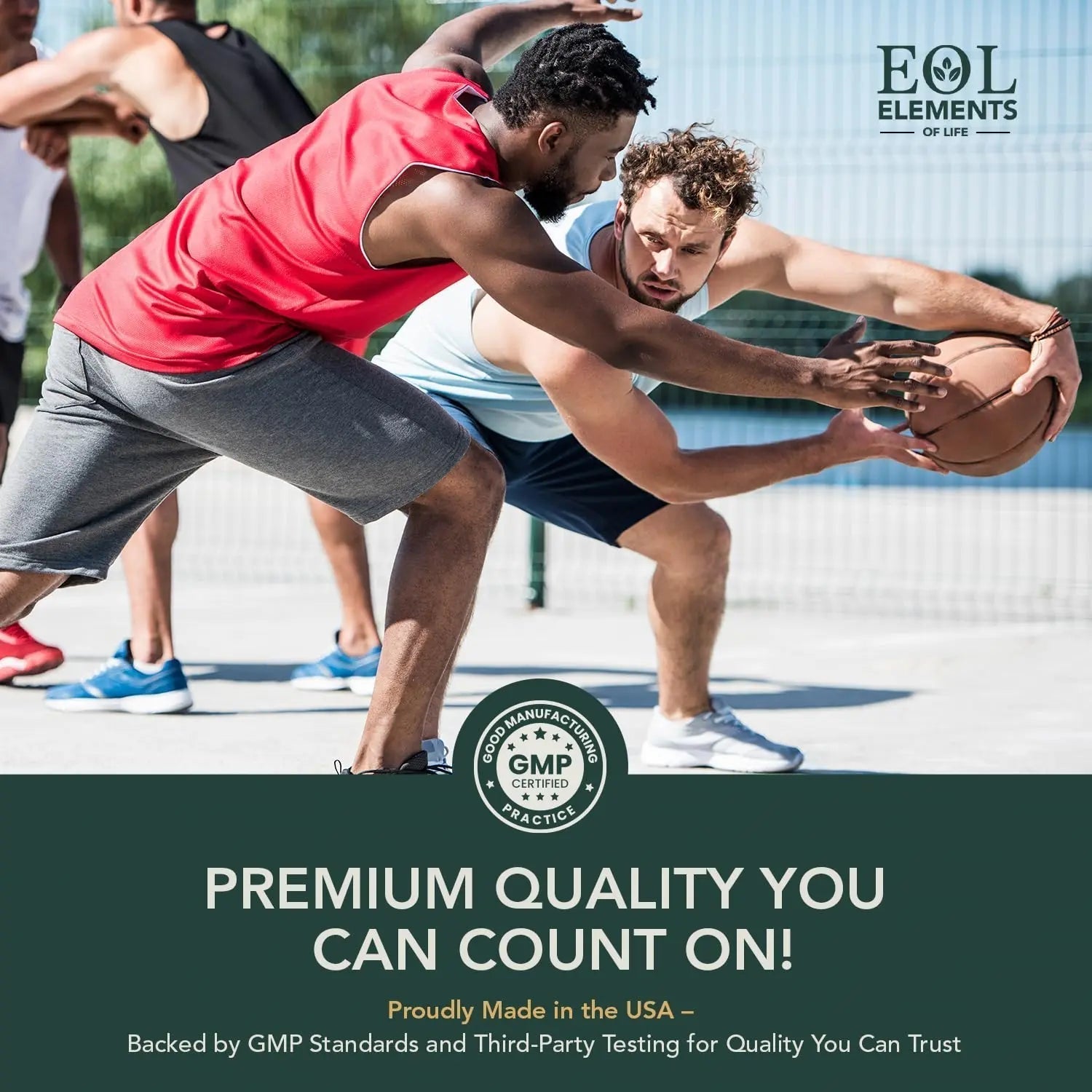 Multivitamin for Men with Vitamin D, K2, Zinc, Vitamin B12, A, E, B6, Calcium – Immune Health & Energy Support Daily Mens Multivitamins Elements of LIfe Au supplements