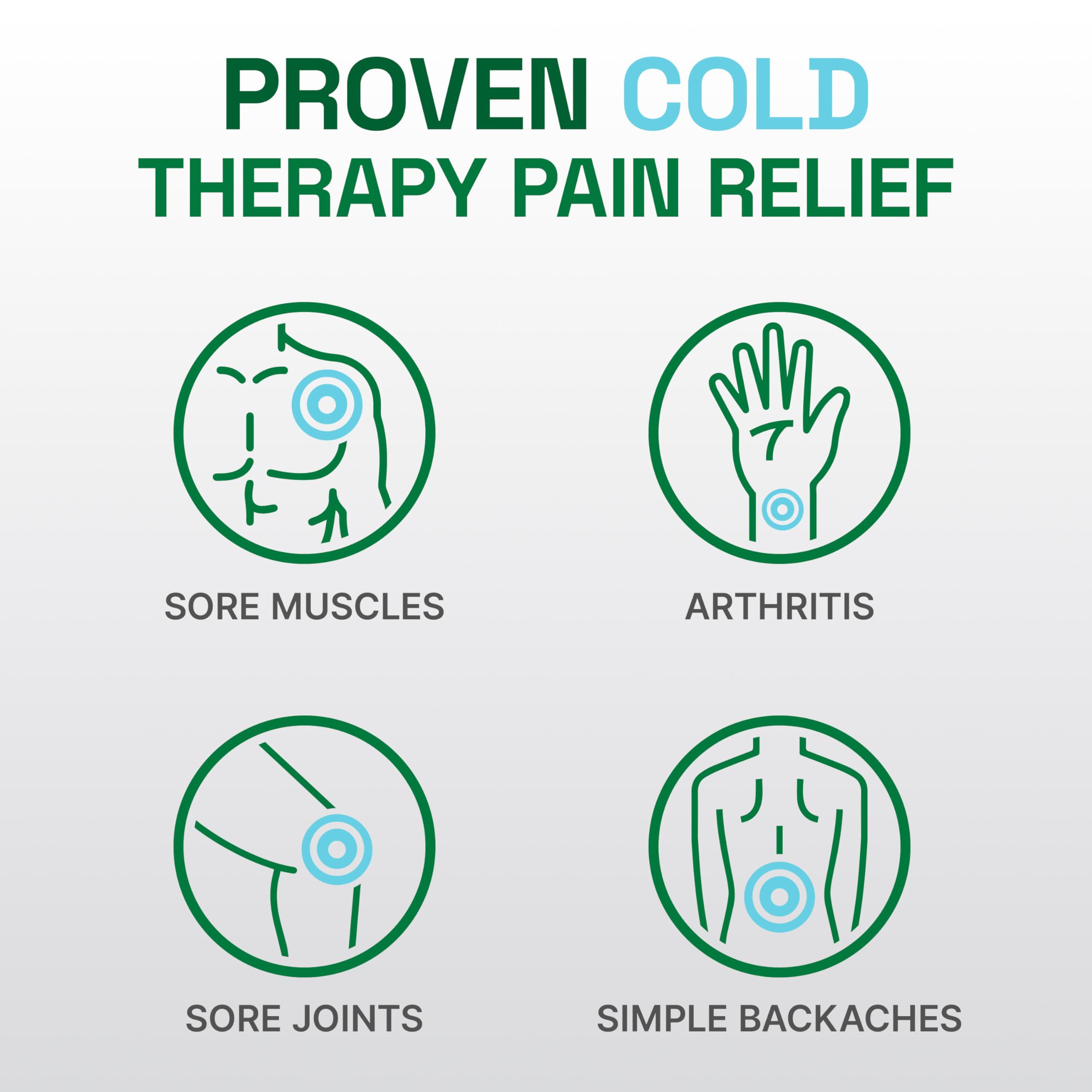 Biofreeze Professional Spray Pain Relief for Knee, Neck, Hip, Joint, Shoulder, & Simple Backache, Arthritis Pain Reliever, Sore Muscle Relief, Colorless Menthol Spray 4 Fl Oz (Pack of 2) Biofreeze Au supplements