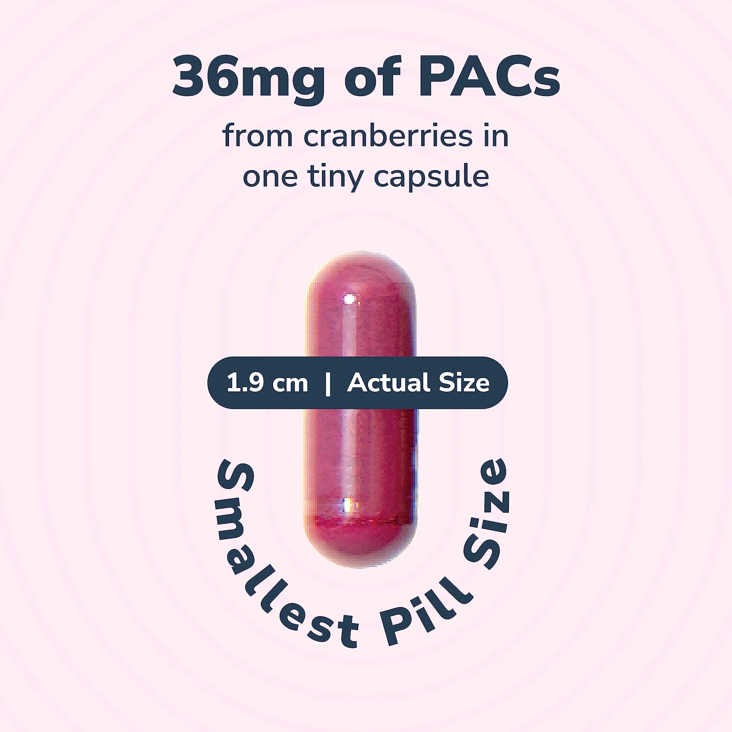 20% Bundle Utiva Cranberry PACs 30 Vegi Capsules Cranberry Supplement for Urinary Tract Health for Women and Men + Utiva D-Mannose 500mg 120 Capsules Naturally Flush The Bladder and Urinary Tract Szio+ Au supplements