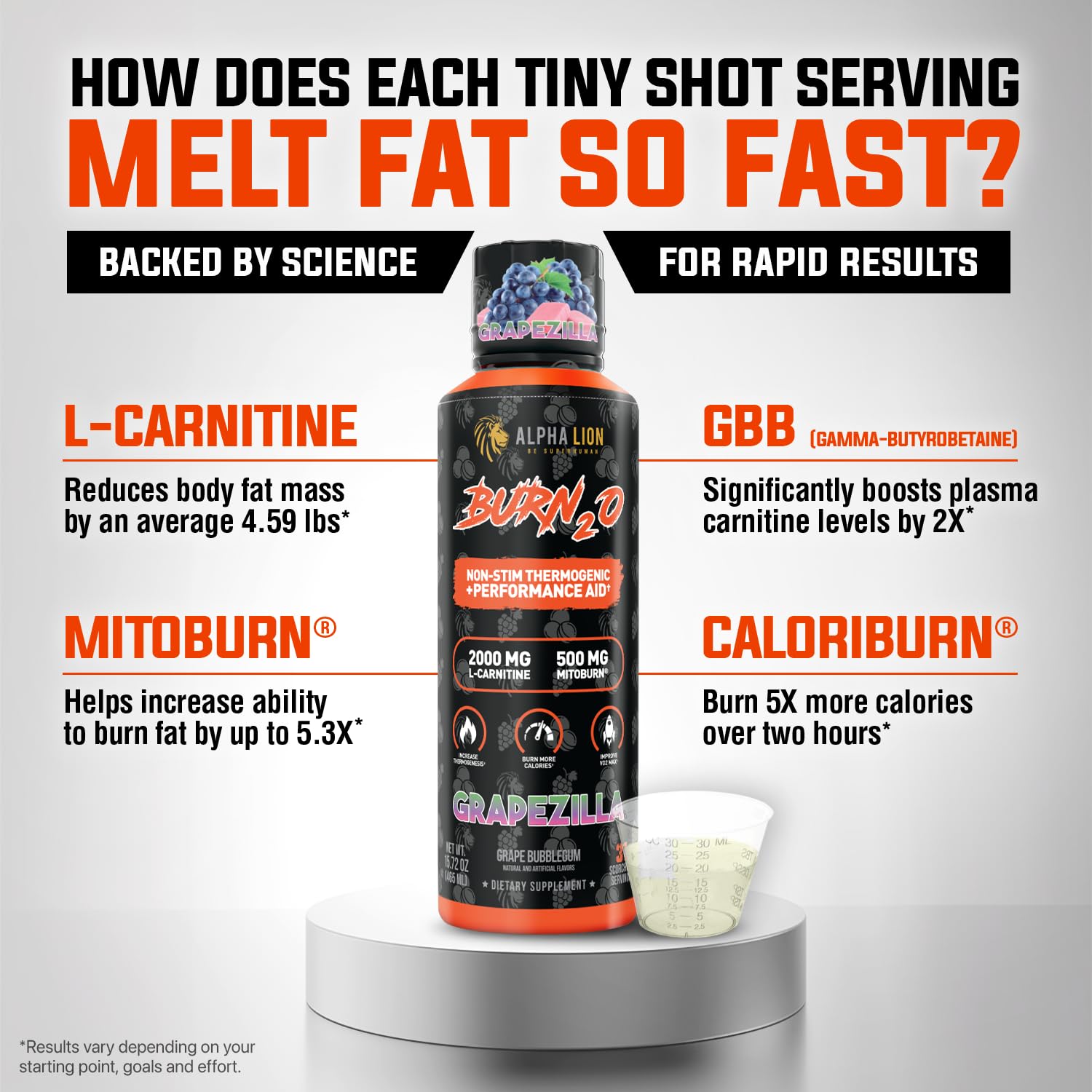 ALPHA LION Burn2O L-Carnitine Liquid 2000mg – Stim Free Super Thermogenic Fat Burner with MitoBurn® & CaloriBurn GP®, Metabolism Booster, Zero Calorie