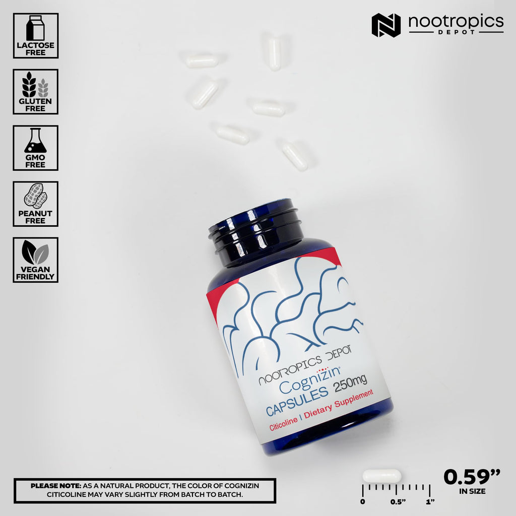 Nootropics Depot Cognizin Citicoline Capsules | 60 Count | Choline Supplement | Brain Health Supplement | Regulates Memory and Cognitive Function | Supports Attention, Focus and Recall Nootropics Depot Au supplements