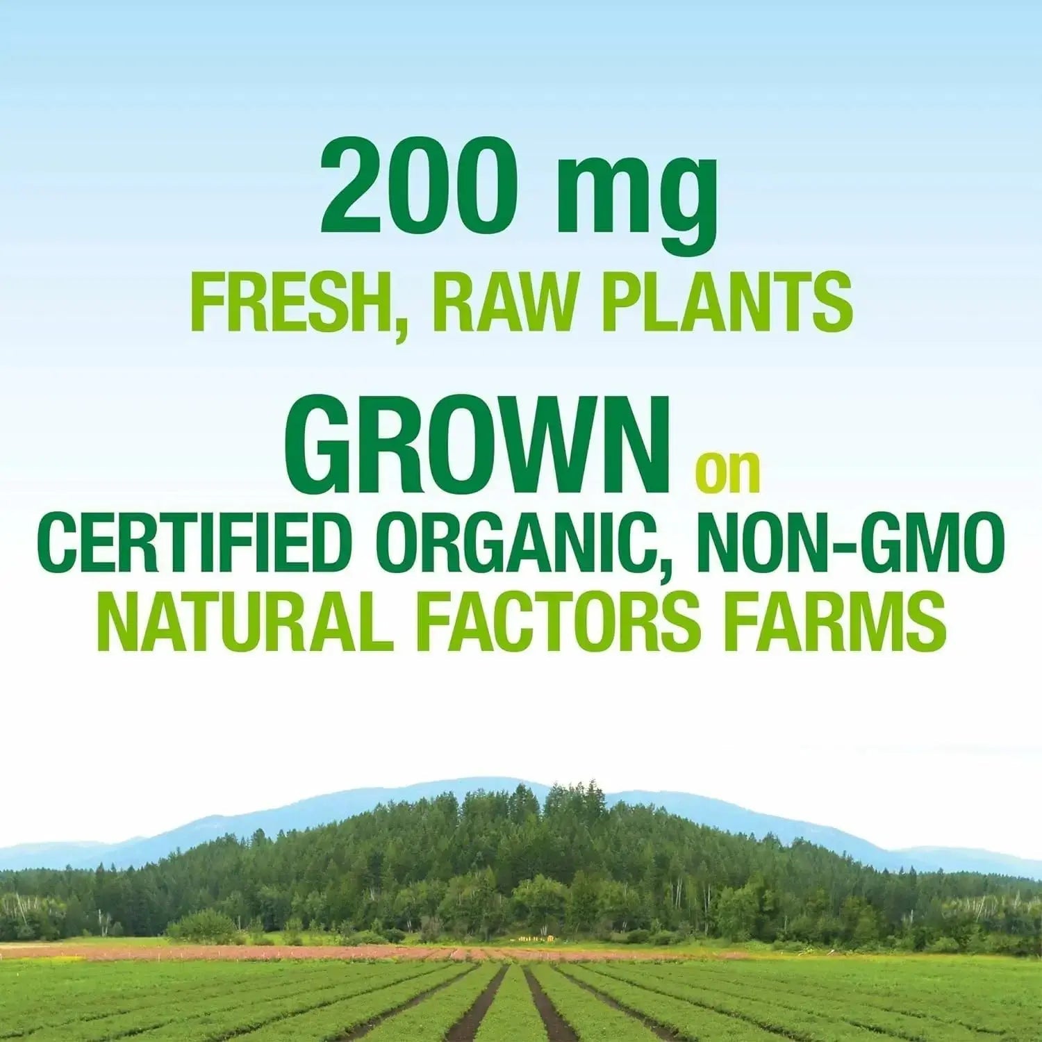 Natural Factors Whole Earth & Sea, Women's Prenatal Multivitamin and Mineral, Whole Food Supplement, Vegan, 120 Tablets Natural Factors Au supplements
