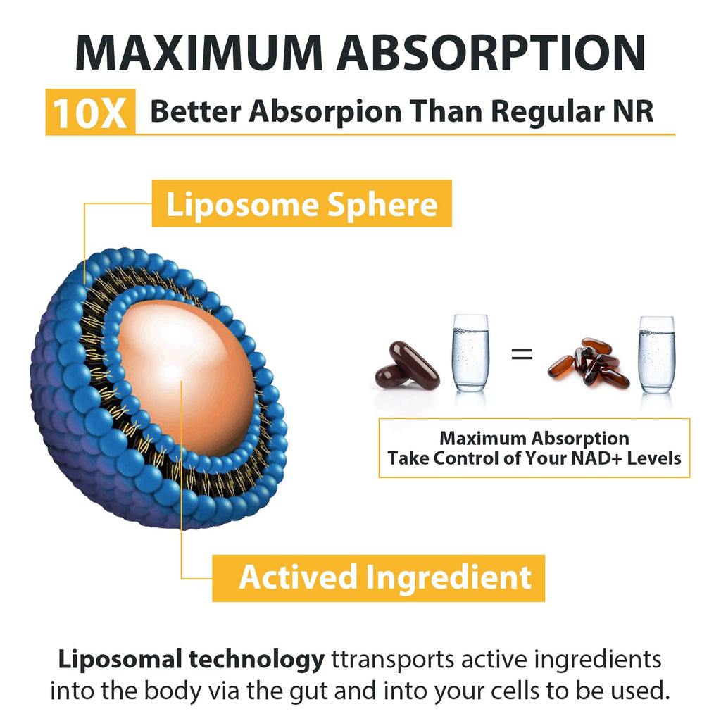 Liposomal Nicotinamide Riboside 2000 MG with TMG and Pterostilbene, Similar to NMN Supplements Boost NAD+, Support Healthy Aging, 240 Count Orgabay Au supplements