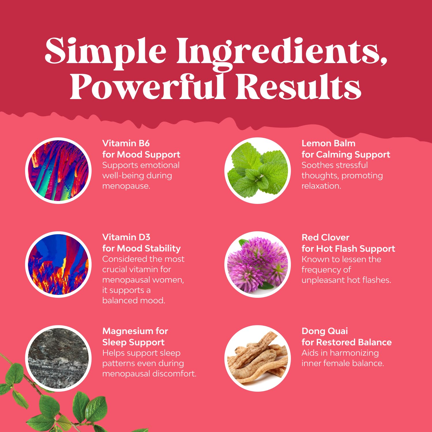 Complete Herbal Menopause Supplement for Women - Multibenefit Menopause Ease Hormone Balance for Women for Night Sweats Mood and More with Dong Quai Vitex Chaste Berry and Black Cohosh - 90 Count Natures Craft Au supplements