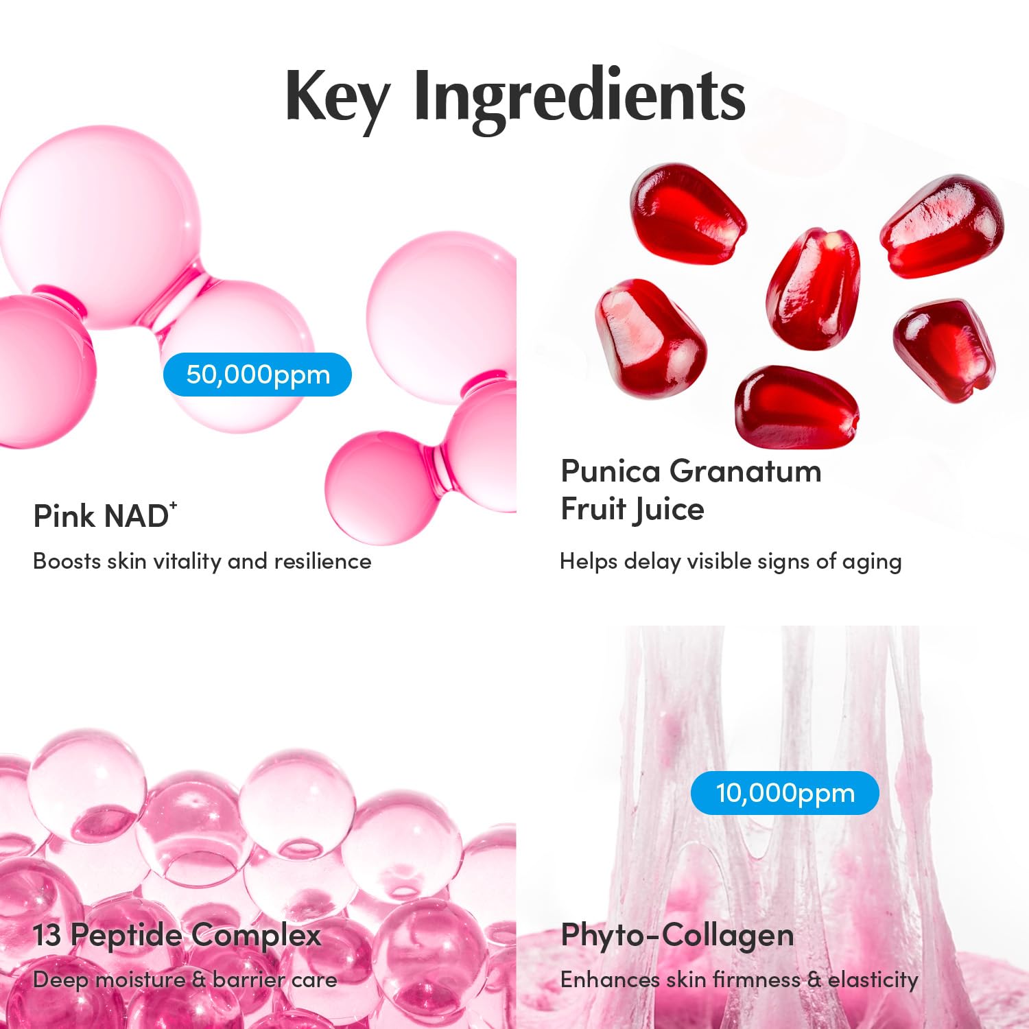 EQQUALBERRY NAD+ Peptide Boosting Cream – NAD+ 5% & 13 Peptides Anti-Aging Face & Body Cream