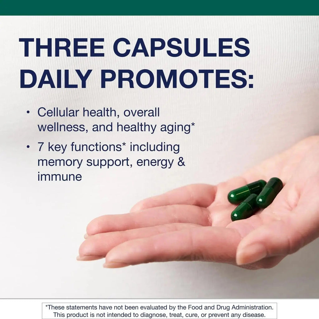 Metagenics PhytoMulti - Daily Multivitamin Supplement with Phytonutrients, Vitamins and Minerals for Multidimensional Health Support Metagenics Au supplements
