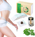 Mugwort Belly Patch,30Pcs Natural Wormwood Essence Pills and 30Pcs Belly Sticker, Moxa Hot BENJEN Au supplements
