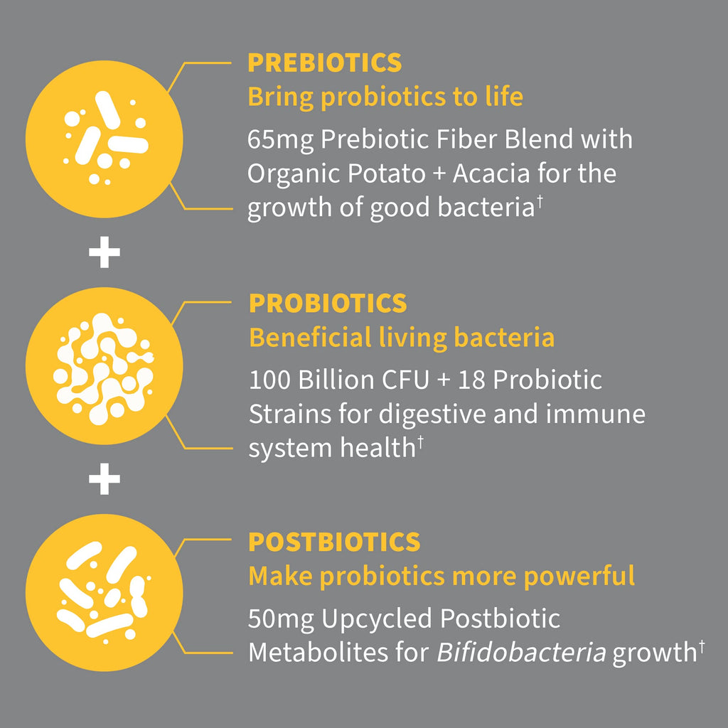 Garden of Life Dr Formulated Probiotics 100 Billion CFU Pre + Pro + Postbiotics - Extra Strength Digestive & Immune Support for Men and Women, Potato, Acacia, Postbiotic Metabolites, 30 Capsules Garden of Life Au supplements