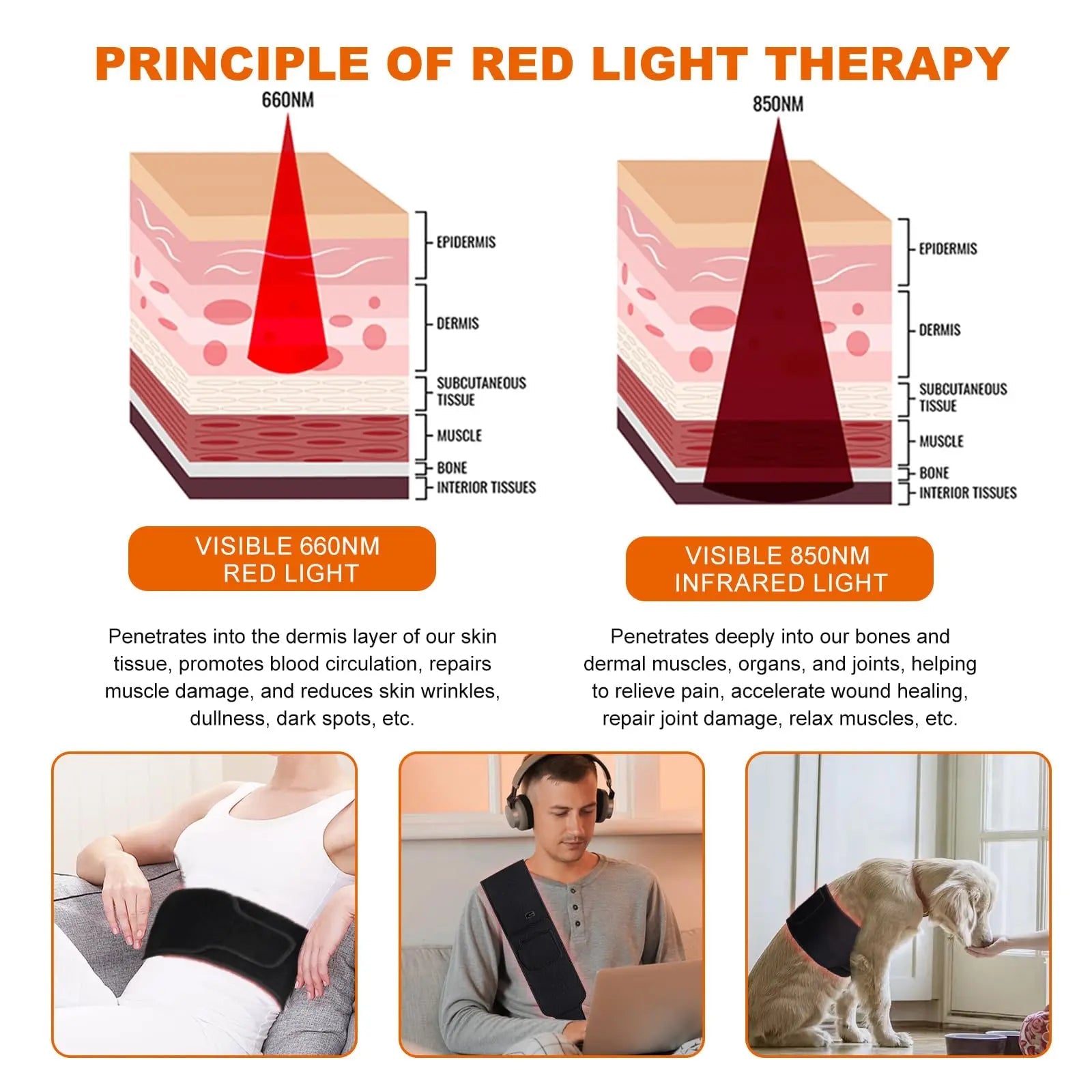 EquiZen Red Light Therapy Belt - Red Light Therapy for Body, Infrared Light Therapy Device EquiZen Au supplements
