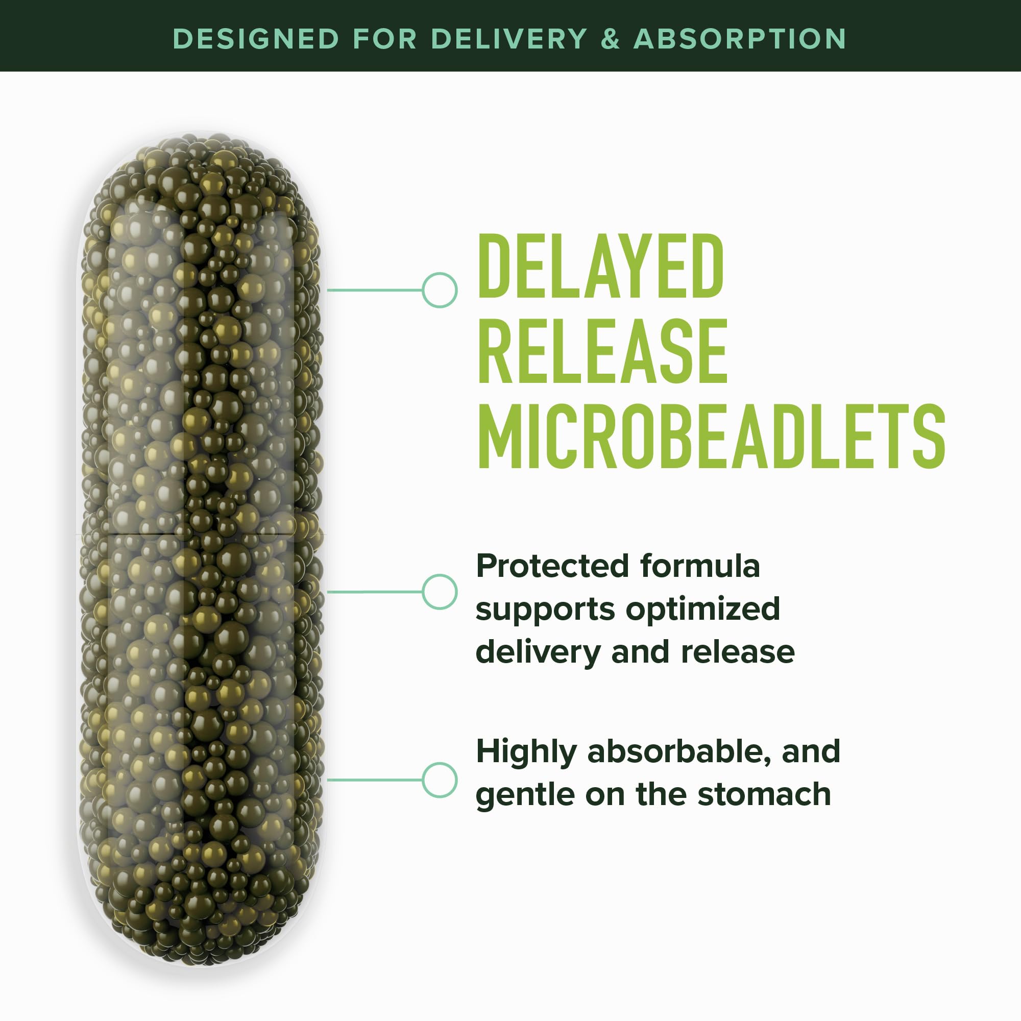50MG Sulforaphane Supplement from Broccoli Sprouts | NRF2 Activation, Cellular Health & Immune Support | Glucoraphanin, Myrosinase & Antioxidants | Third-Party Tested