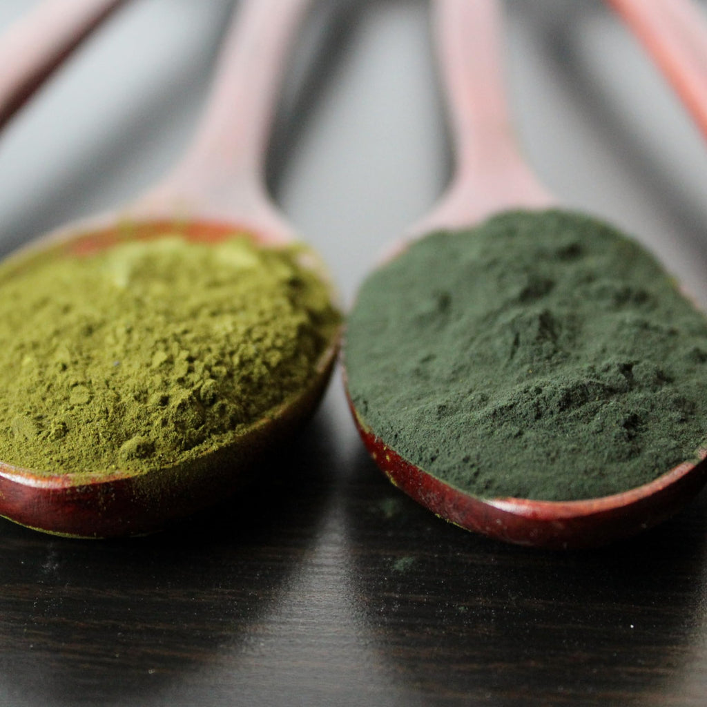Quantum Nutrition Labs Quantum Fermented Greens- Super Greens Supplement, Superfood Blend, Organic Vitamins with Probiotic - Daily Greens with Spinach, Chlorella
