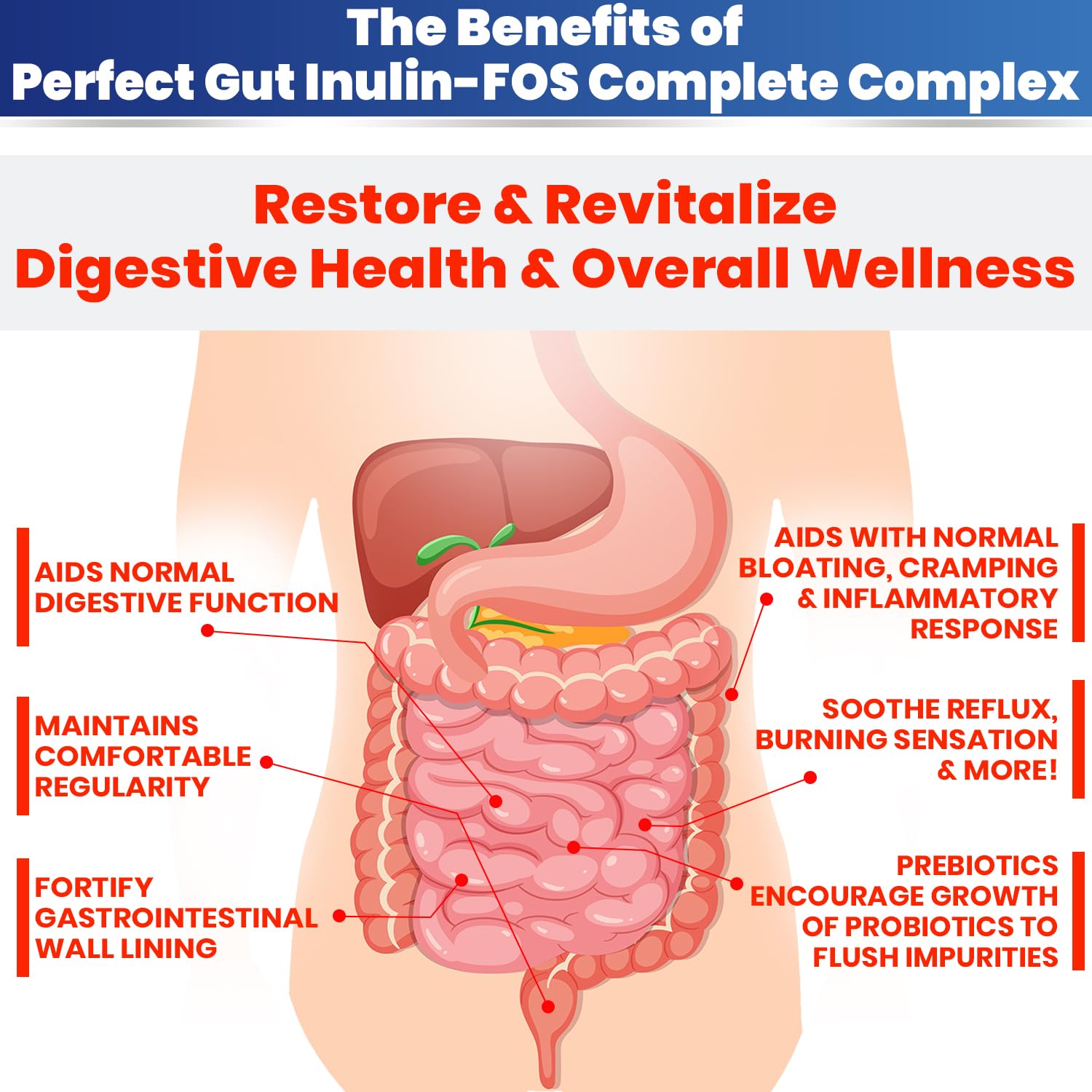 Perfect Gut: Inulin FOS Powder for Gut Health. Prebiotic Inulin. Unique Prebiotic 95% FOS Inulin Agave Fiber