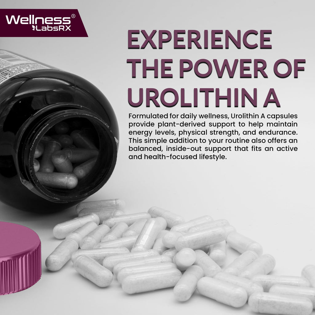Urolithin A Supplement Capsules 1,000mg (98.9% Pure) – Advanced Urolithin A+ Formula for Cellular Renewal & Mitochondrial Support