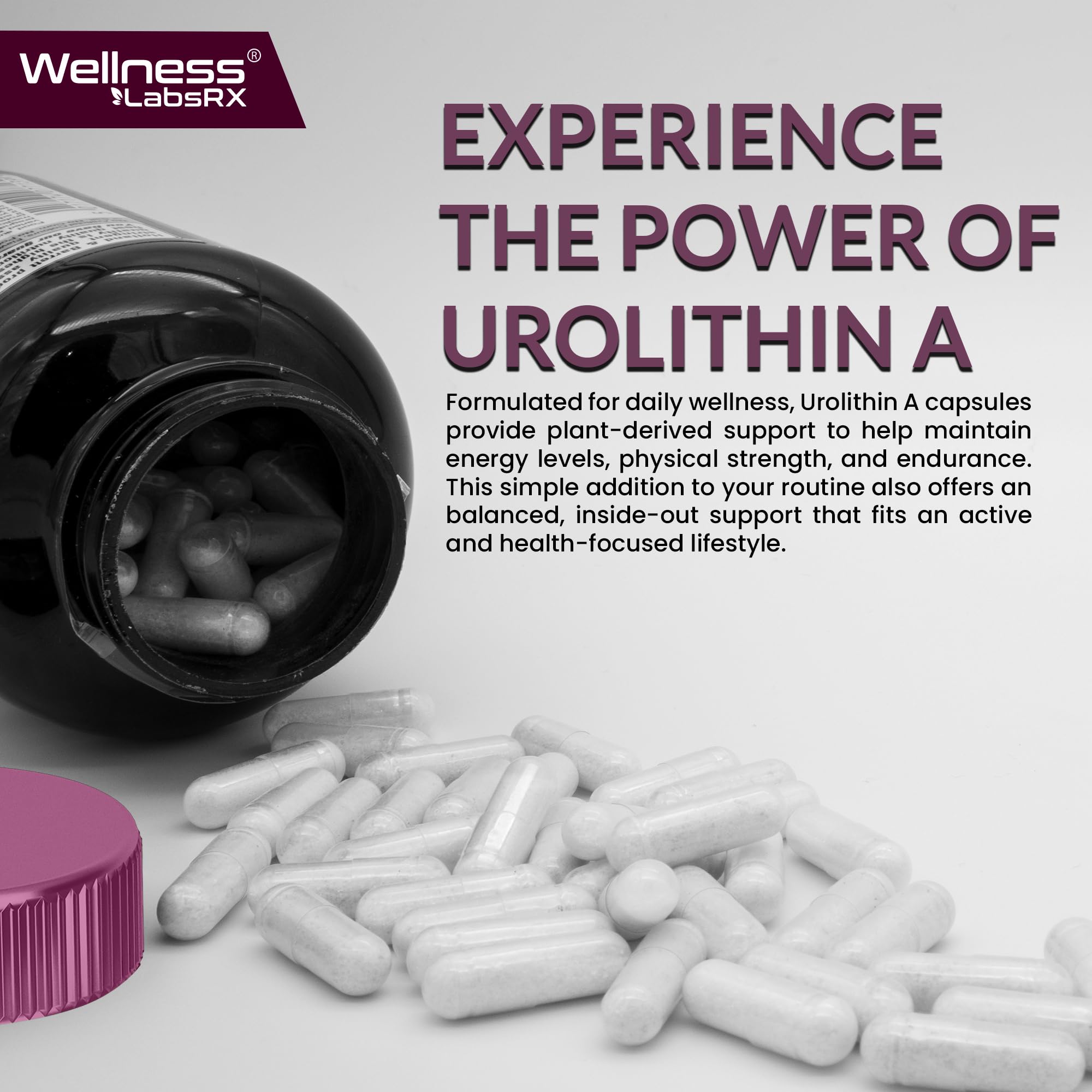 Urolithin A Supplement Capsules 1,000mg (98.9% Pure) – Advanced Urolithin A+ Formula for Cellular Renewal & Mitochondrial Support