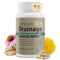 Lymphatic Drainage Capsules Natural Herbal Supplement for Immune Health & Fluid Balance, with Echinacea, Dandelion, and Burdock 60 Capsules