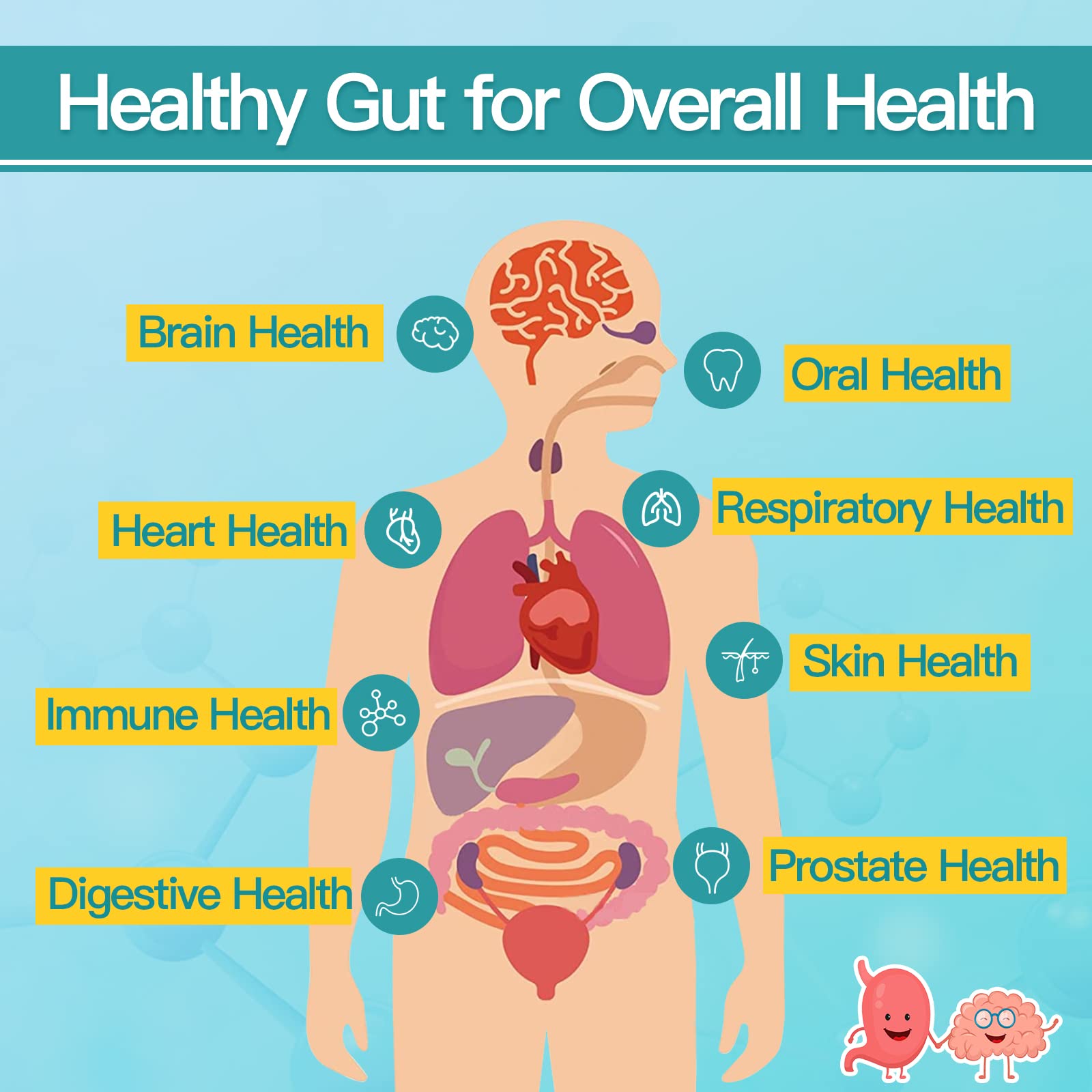 NATURE TARGET Probiotics for Men with Men Care Supplement, Prebiotics & Probiotic for Men's Digestive and Immune Health,60 Billion CFUs & 14 Strains Shelf Stable,