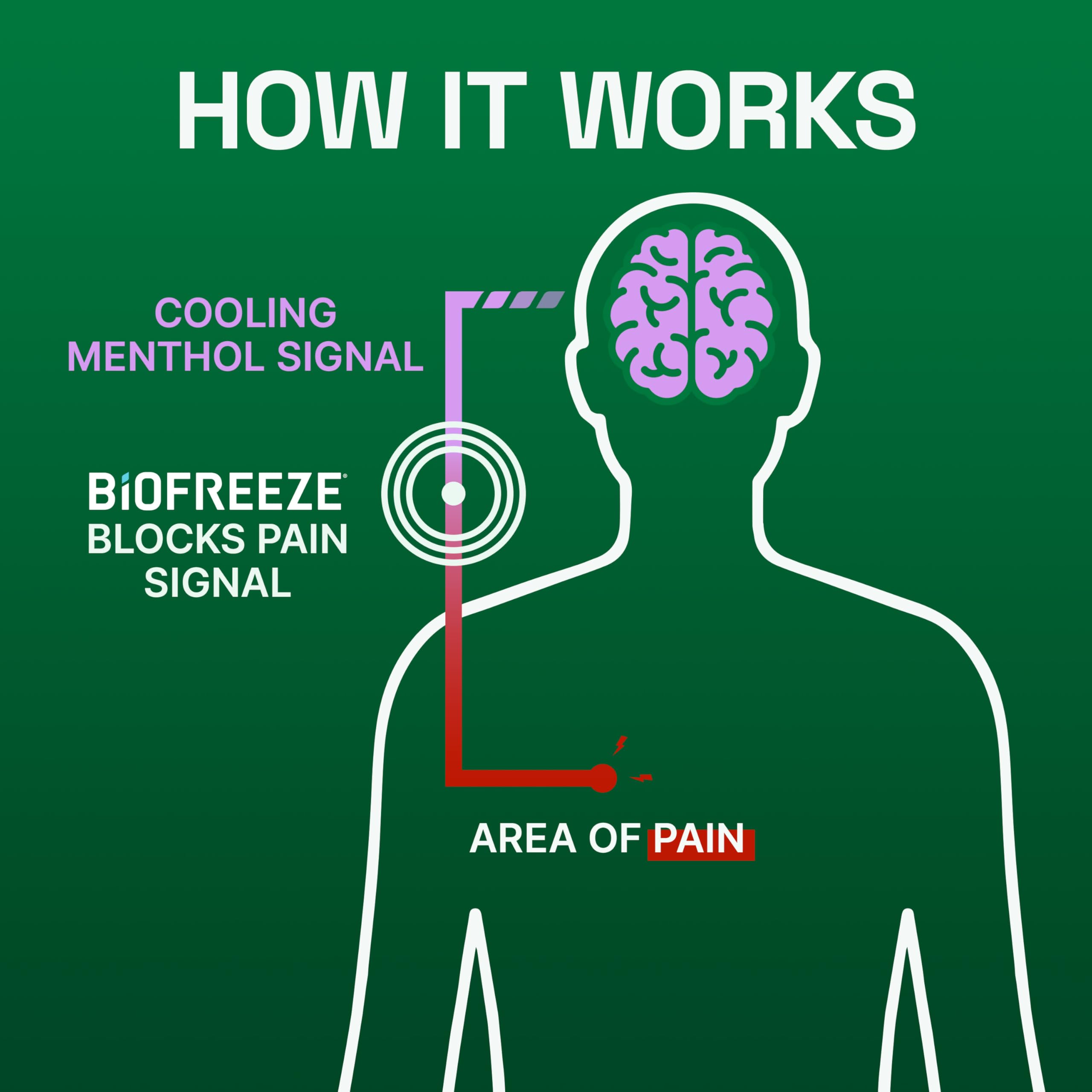 Biofreeze Overnight Gel Pain Relief, Knee & Lower Back Pain Relief, Arthritis Pain Reliever, Neck Pain Relief, Cooling Joint Pain Relief, Lavender Scented Menthol Gel 3 Fl Oz Biofreeze Au supplements