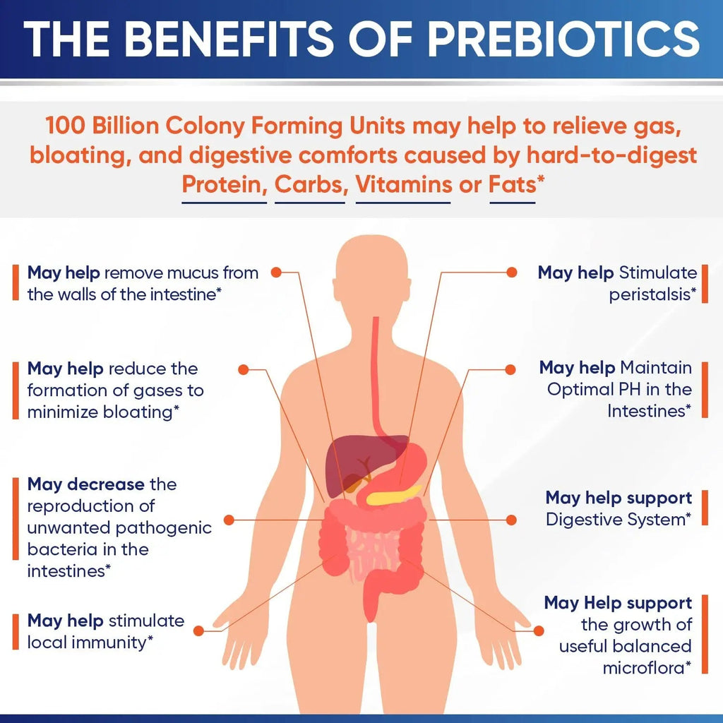 Organic Probiotics 100 Billion CFU, Dr Formulated Probiotics for Women, Probiotics Wholesome Wellness Au supplements