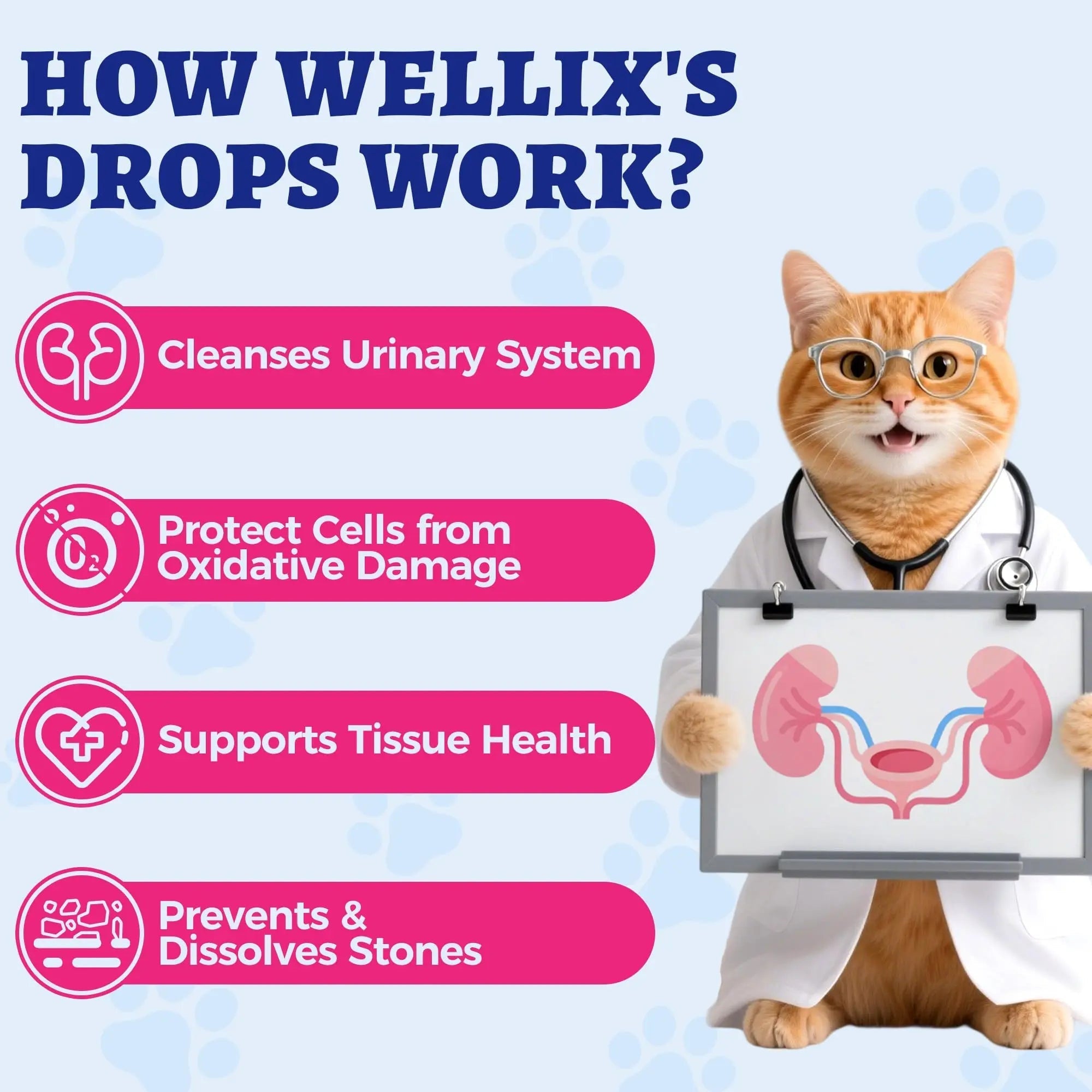 4oz Wellix Natural Cat & Dog UTI Treatment Drops,Cat & Dog Urinary Tract Infection Treatment - Cranberry & D-Mannose for Dogs & Cats - Kidney Health Supplement Wellix Au supplements