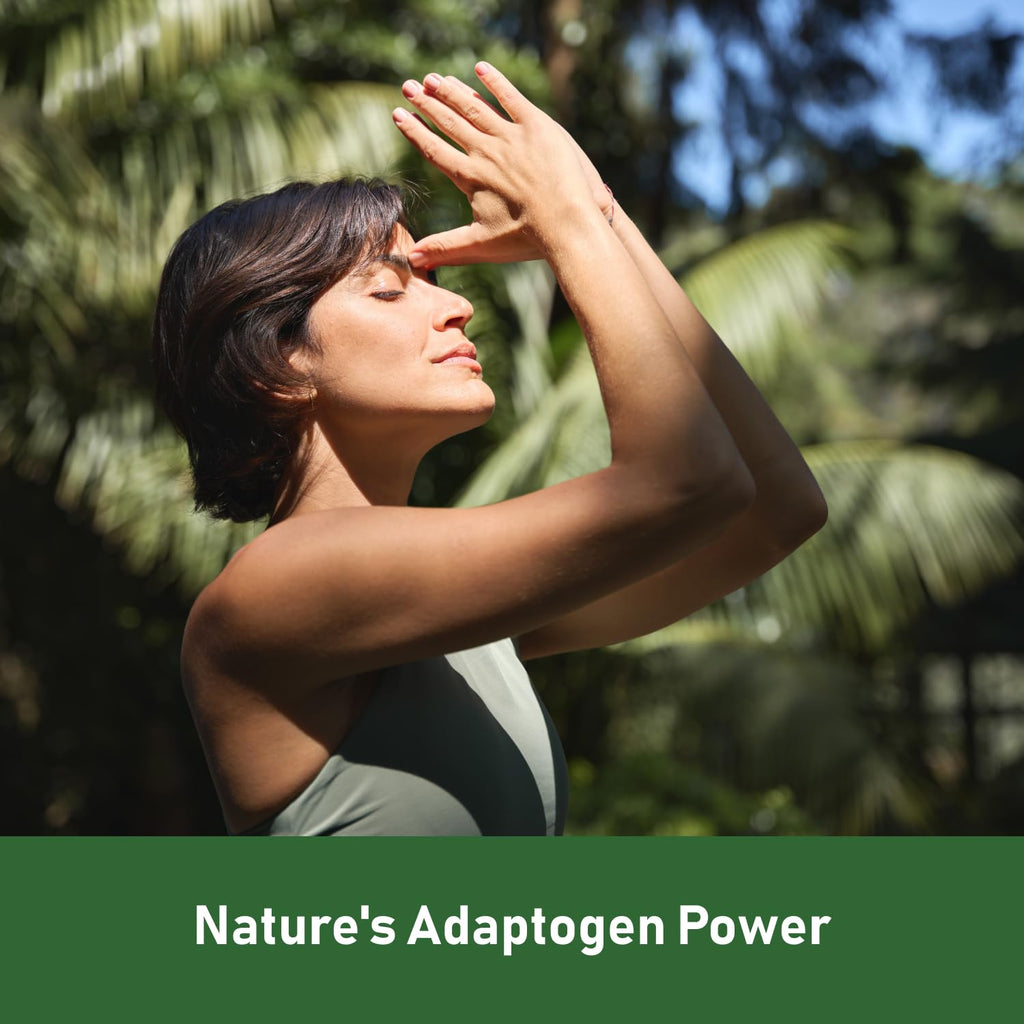 GlowEver KSM-66 Ashwagandha Supplements with L-Theanine Moringa Organic Mushrooms Complex Ginseng Ginkgo Biloba - Mood & Energy Support, Cortisol Manager, Immune Support, 60 Vegan Capsules GlowEver Au supplements