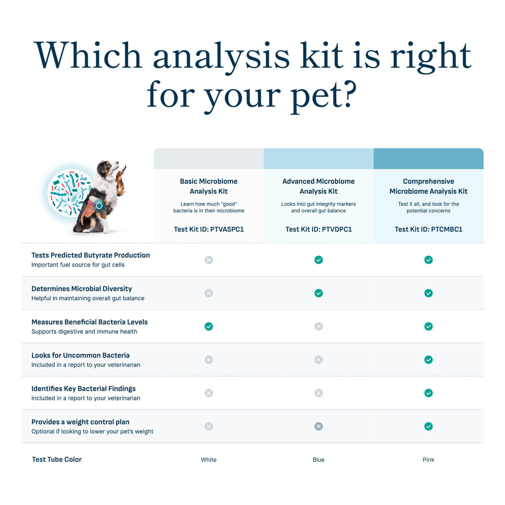 Petivity Microbiome Analysis Kit — Basic for Cats and Dogs, Powered by Purina - 4.8 oz. Box petivity Au supplements