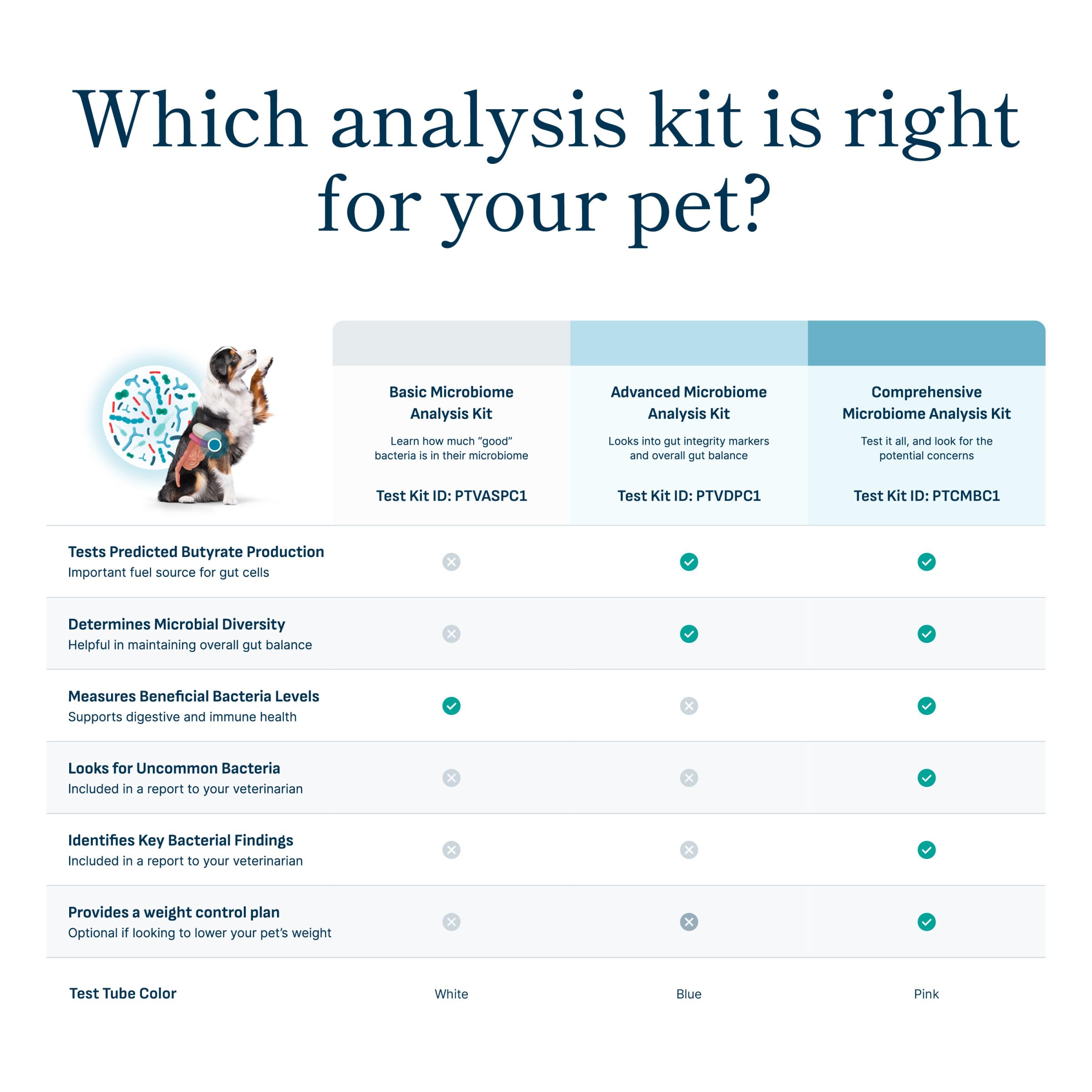 Petivity Microbiome Analysis Kit — Basic for Cats and Dogs, Powered by Purina - 4.8 oz. Box petivity Au supplements