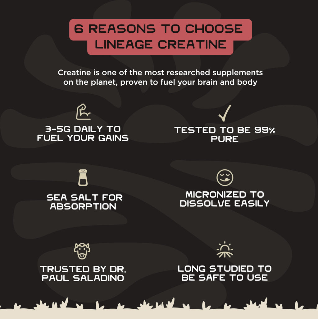 Lineage Provisions Micronized Creatine Monohydrate with Sea Salt - Micronized Creatine Powder for Training & Performance