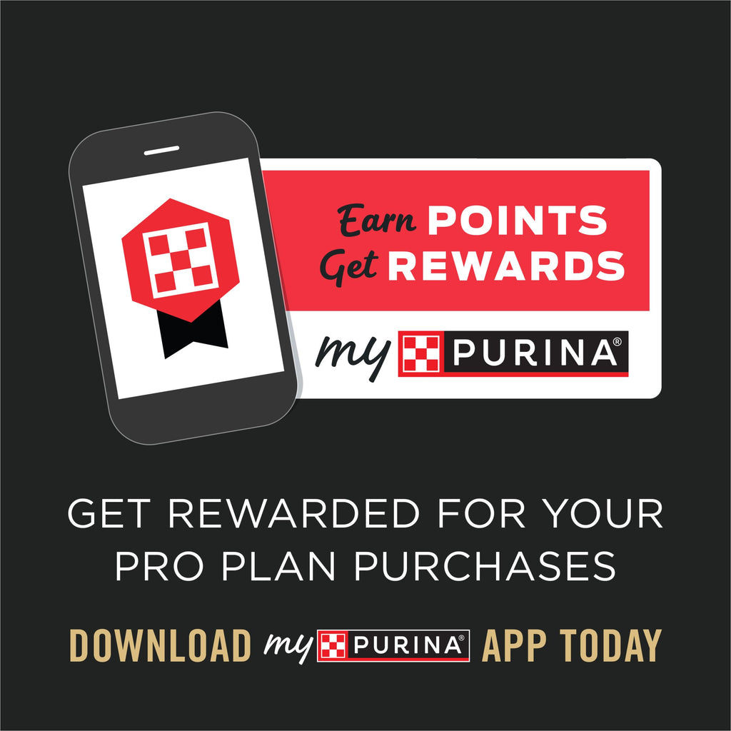 Purina Pro Plan Veterinary Supplements Multi Care Dog Supplements - 30 ct. Pouch Pro Plan Veterinary Diets Au supplements